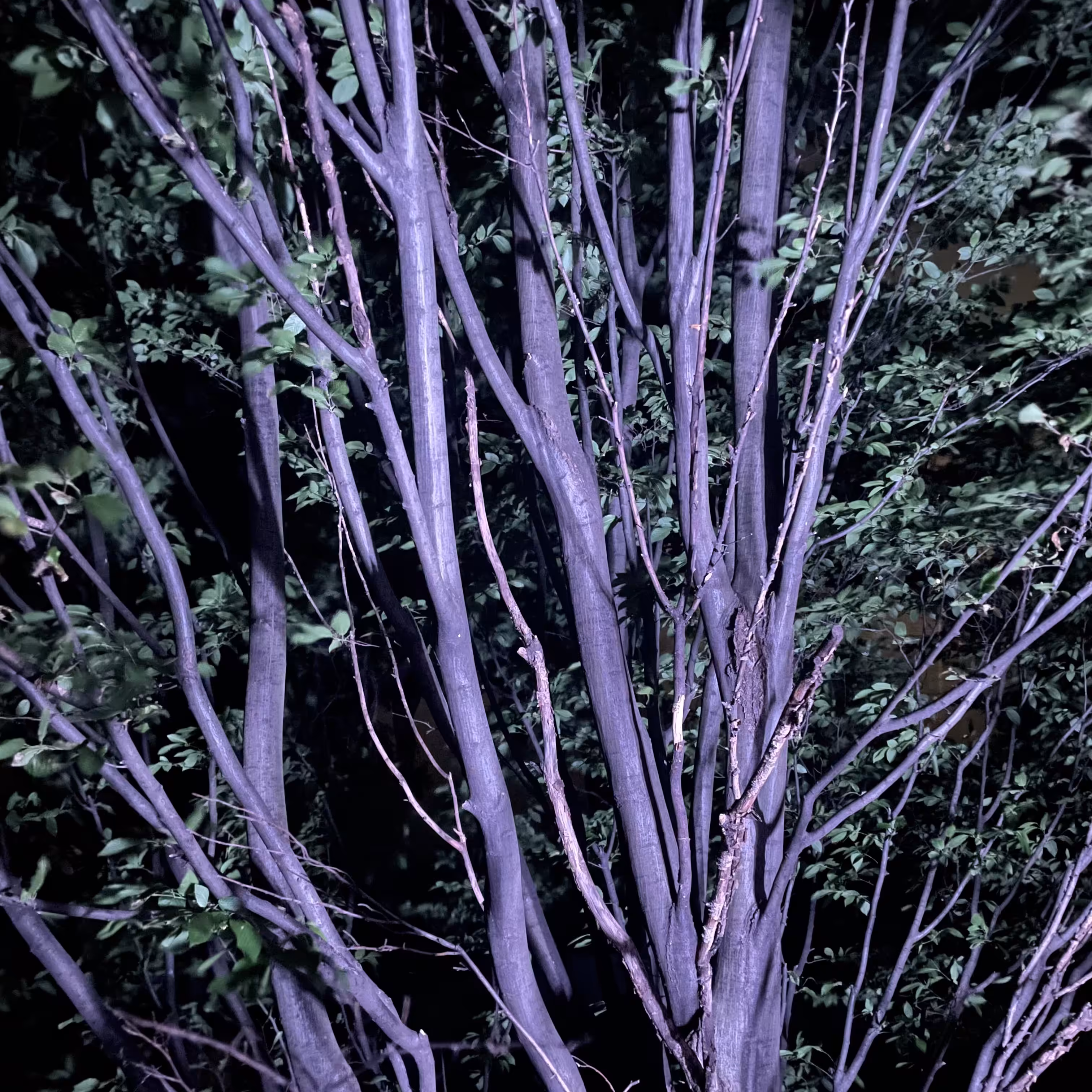 ▦#2