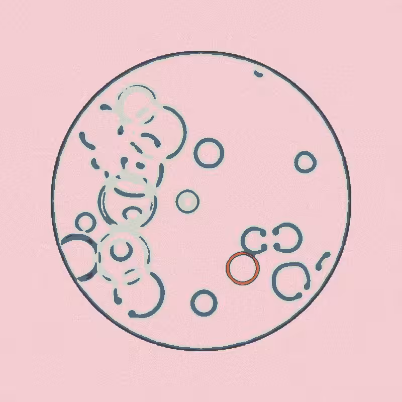 Cheap Petri Dish #41
