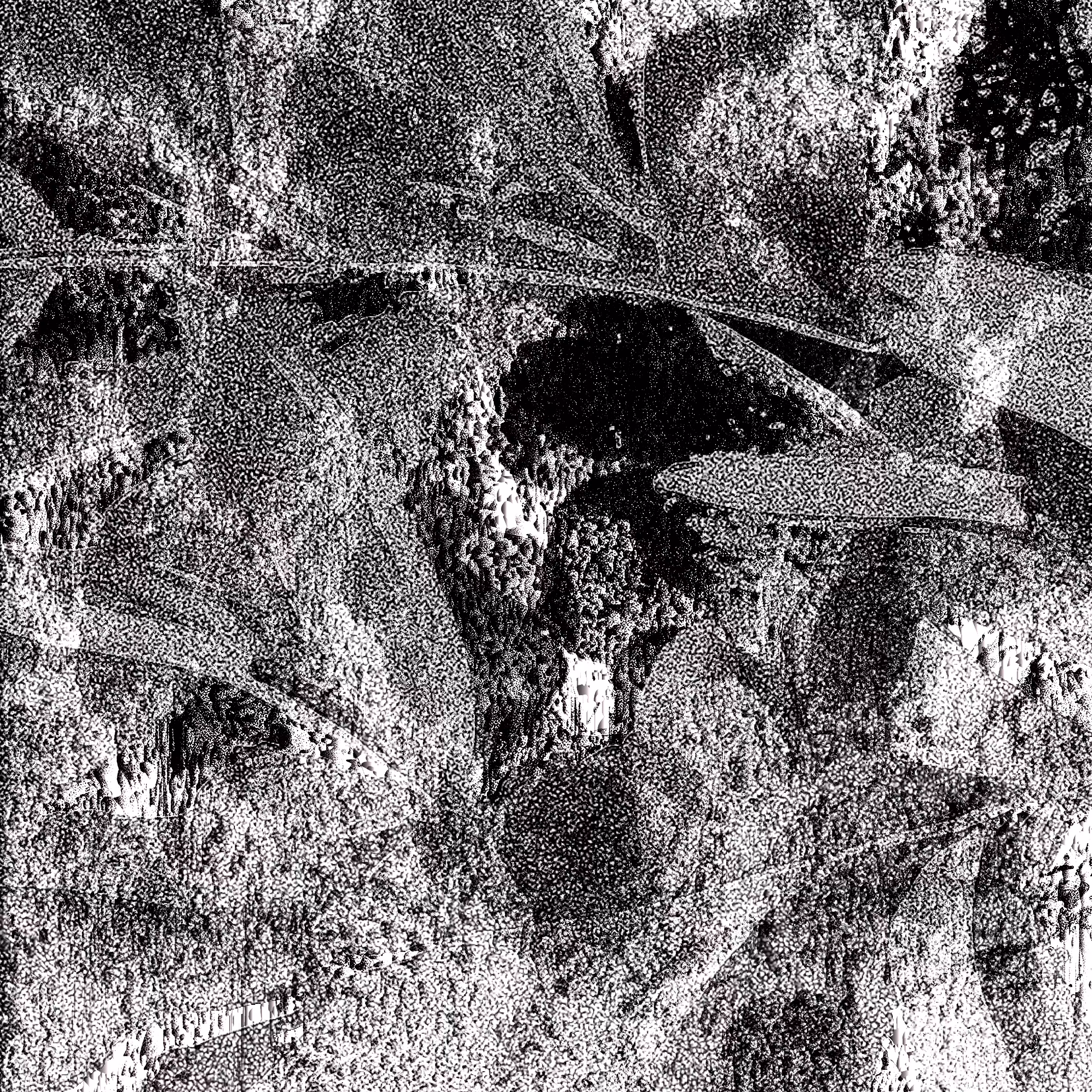 The Shadows: shadow #35