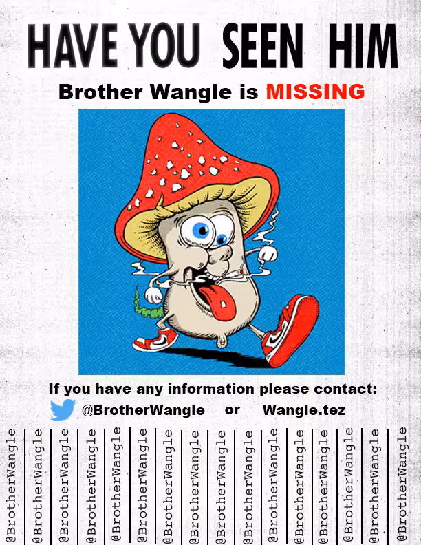 Missing Wangle 1
