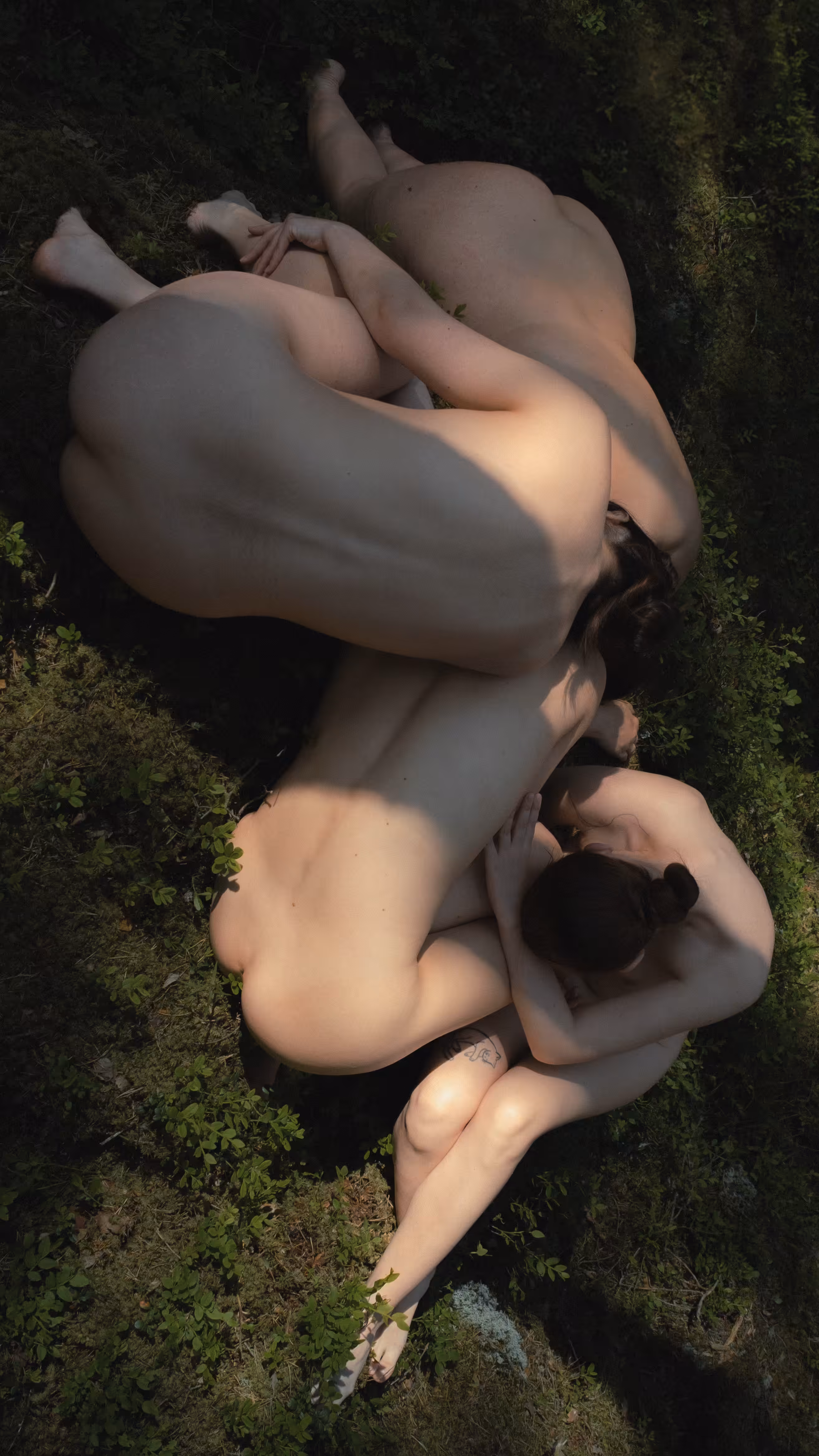 Skin of Secrets