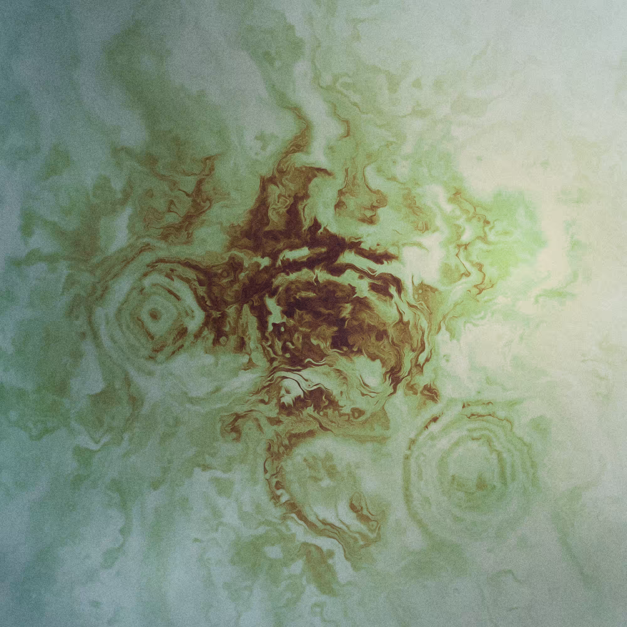 Fossilium #134