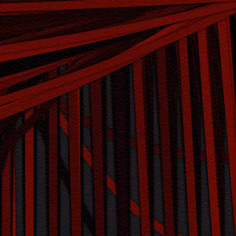 Scales #3