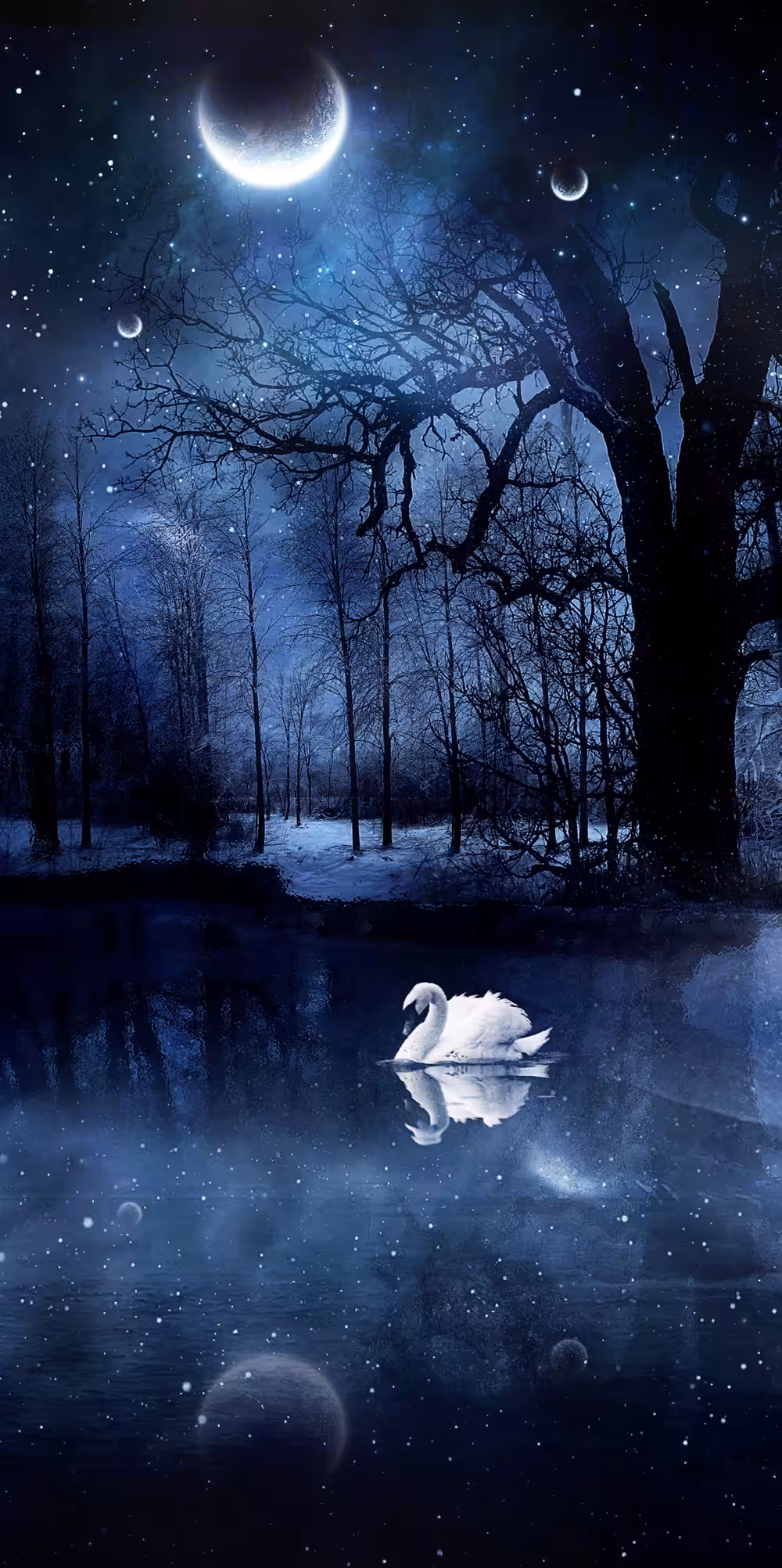 Swan Lake