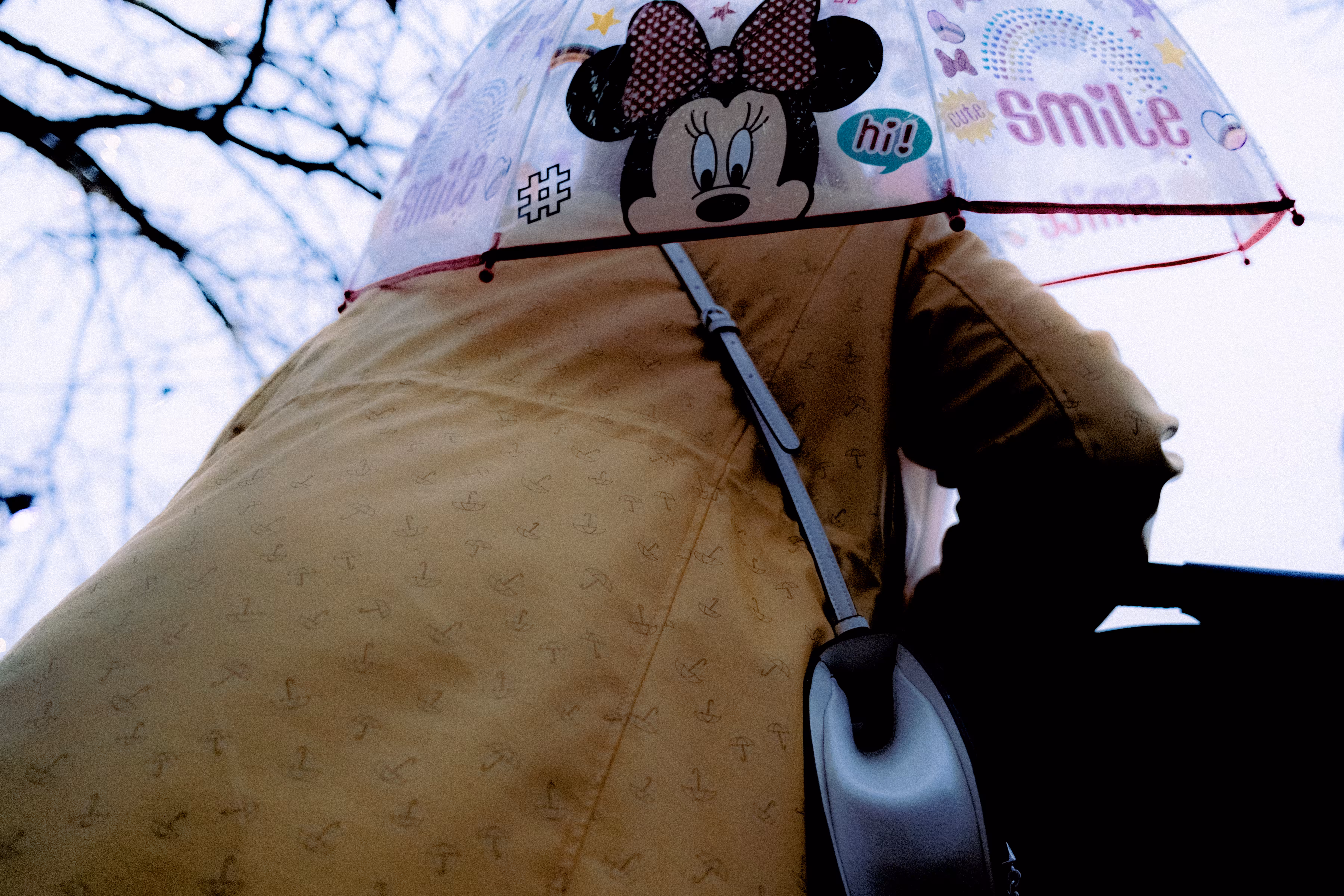 minnie brella