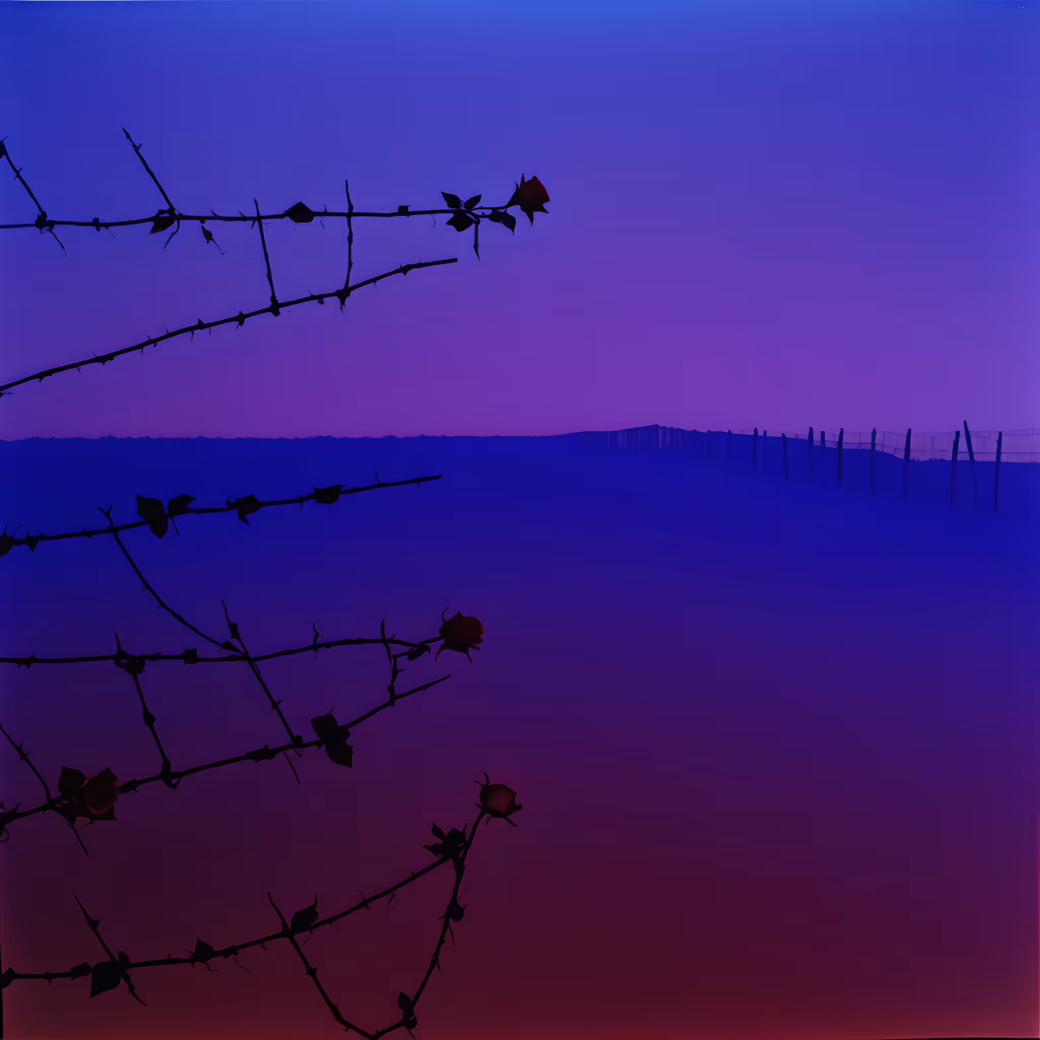 Between the hurricane and the wind #42
