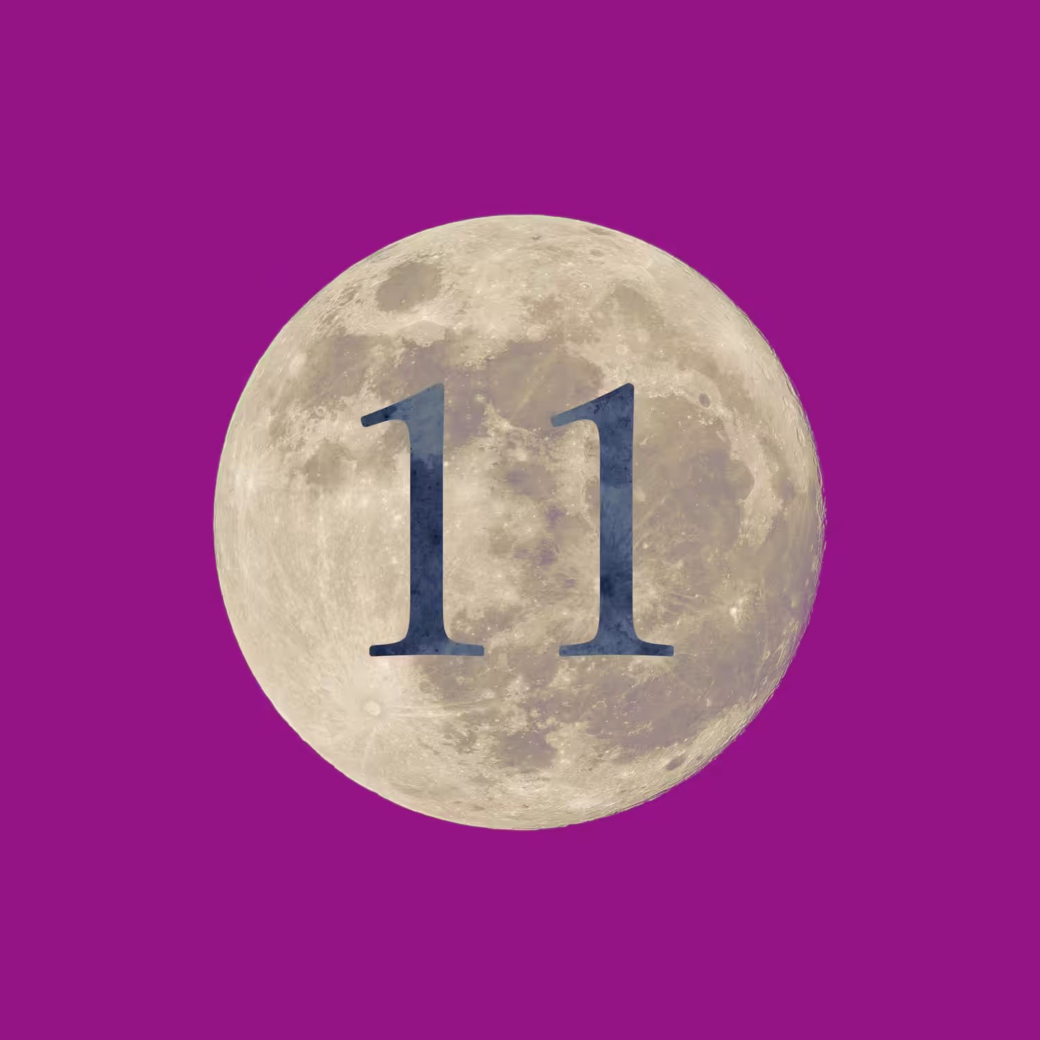11月：November