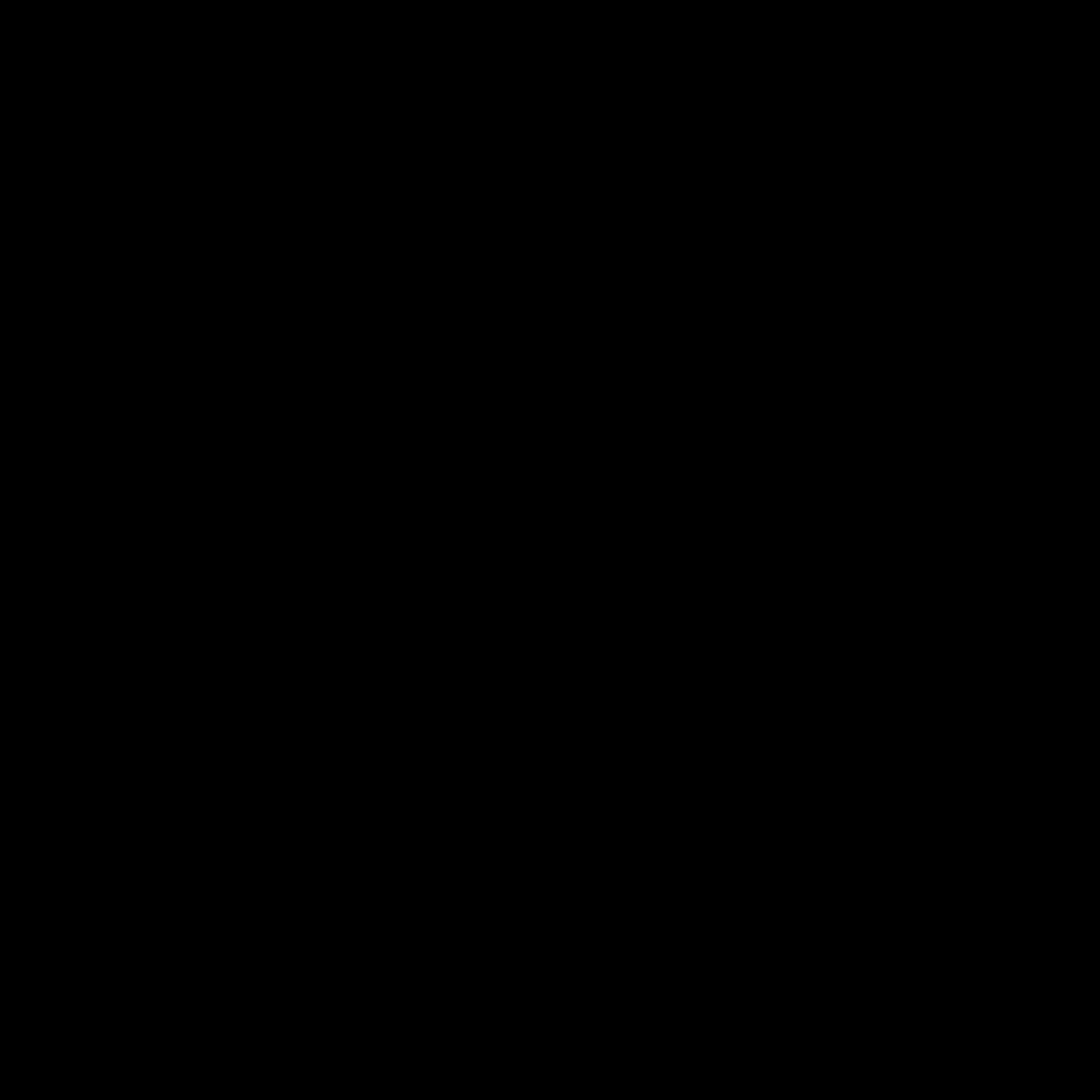 VACIO-VOID