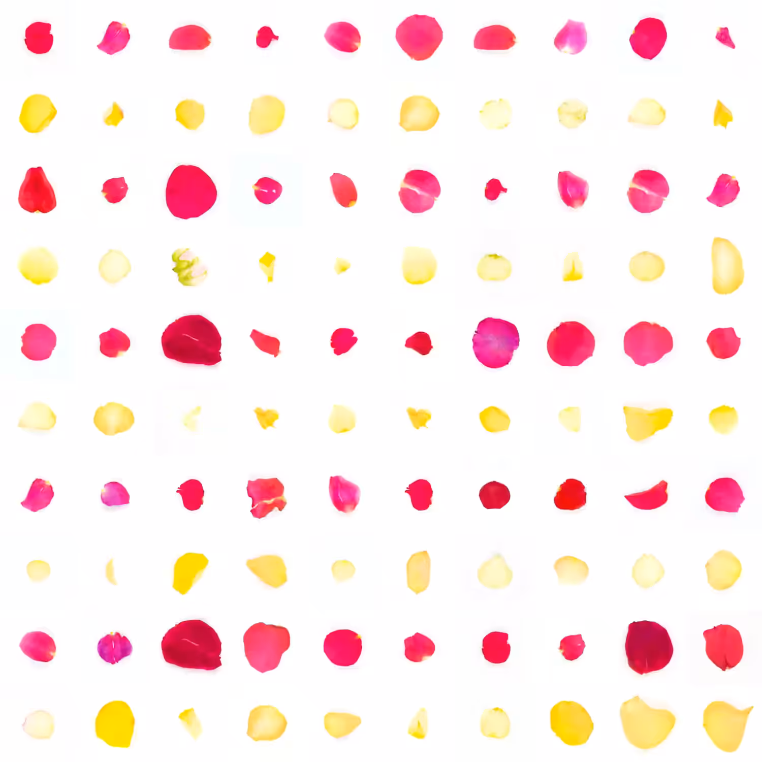 Infinite Petals 10x10#1858