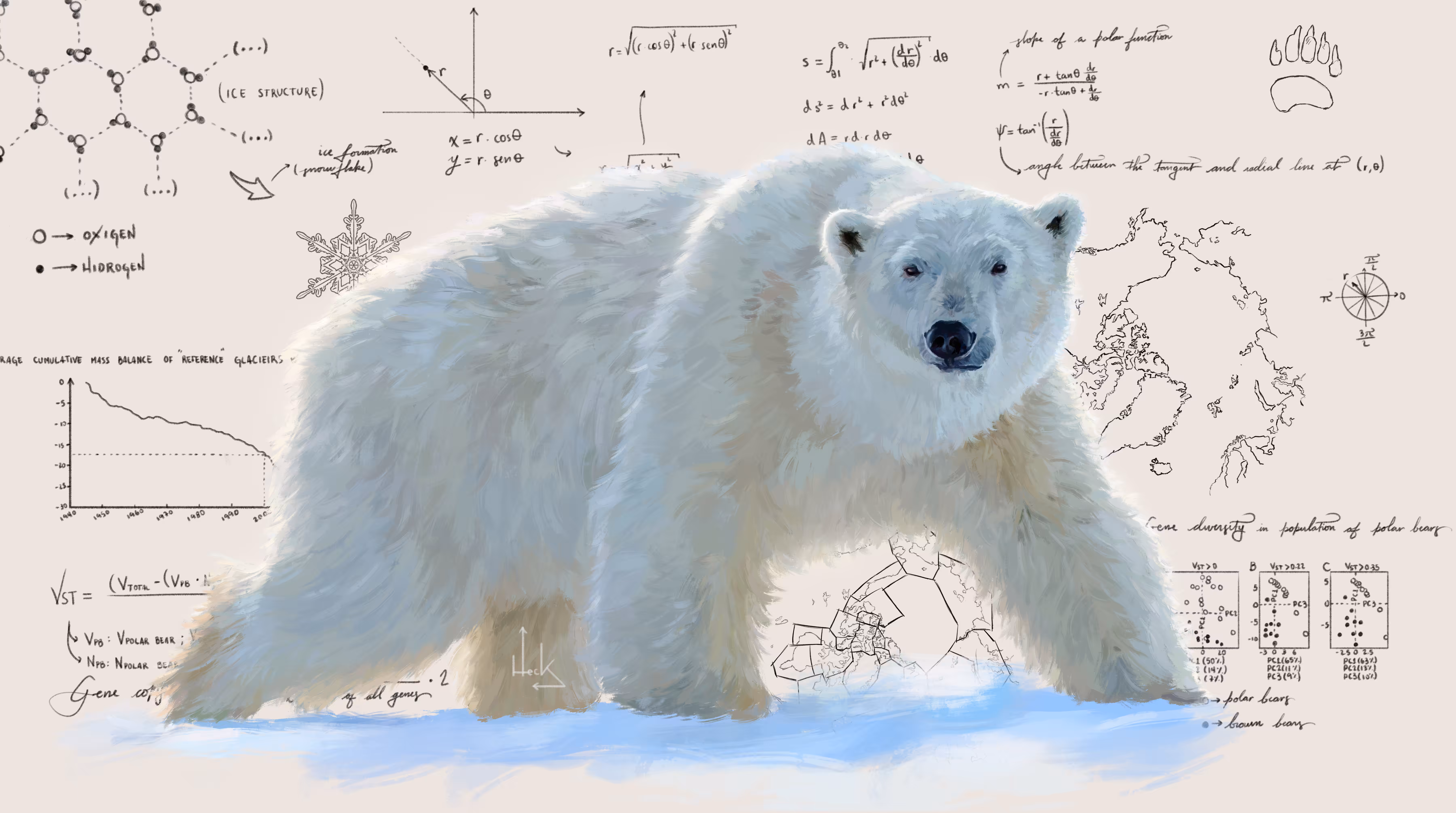 Polar