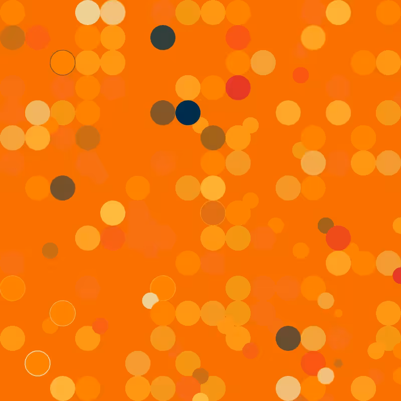 circolution #79