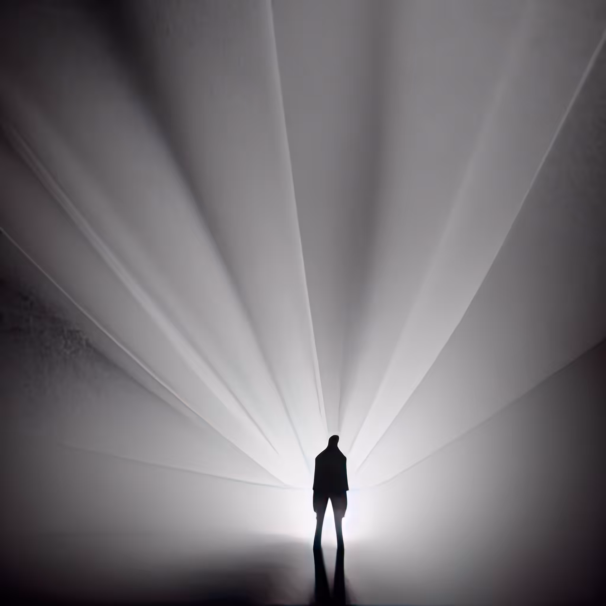 Spotlight