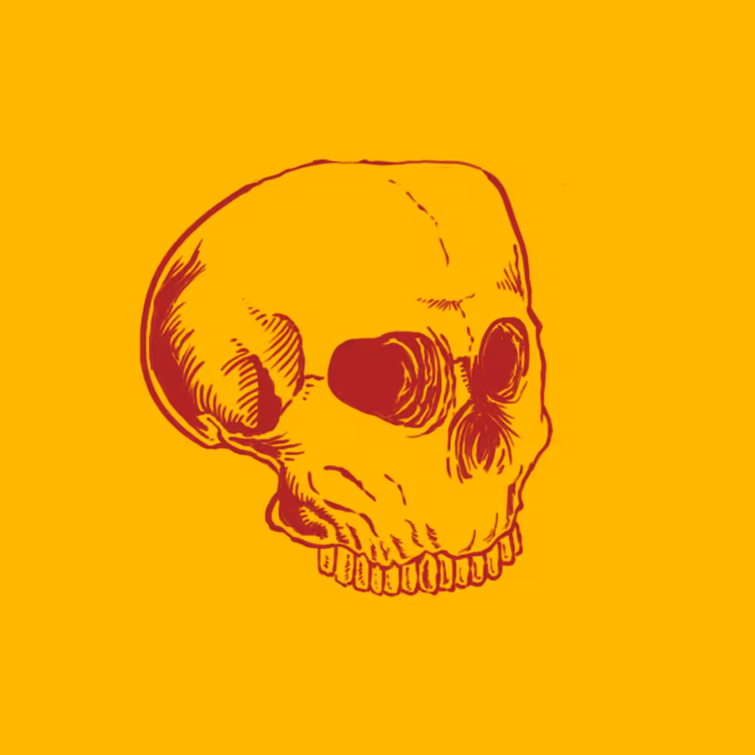Skull #1