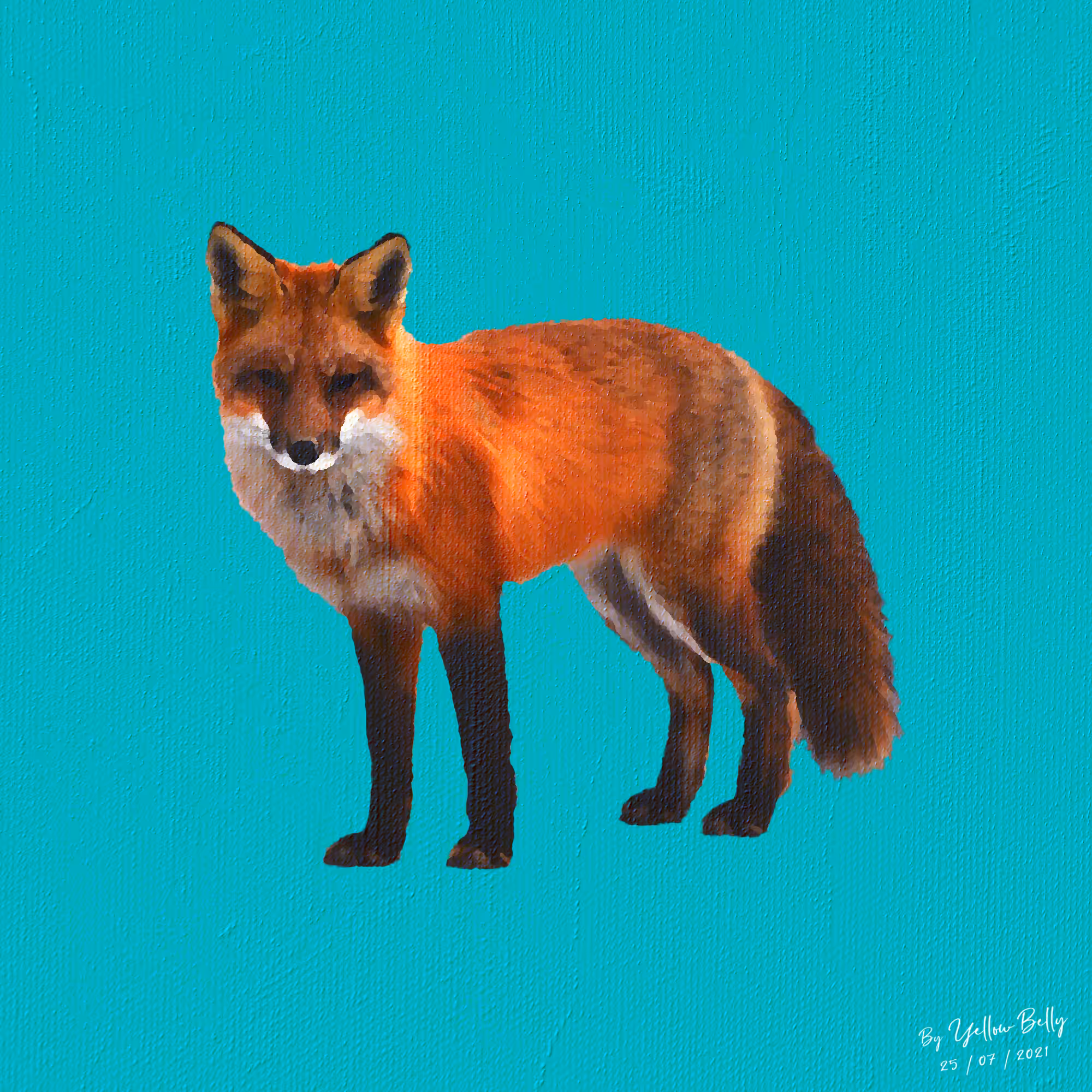 Felix the Fox - Funny Farm Collectable Animals #001