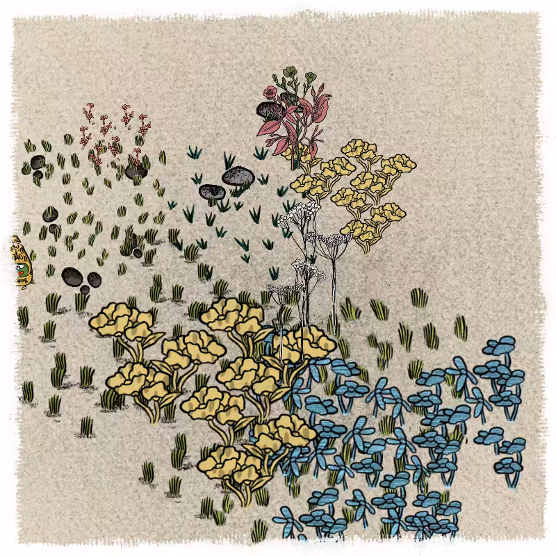 Gardens  #49