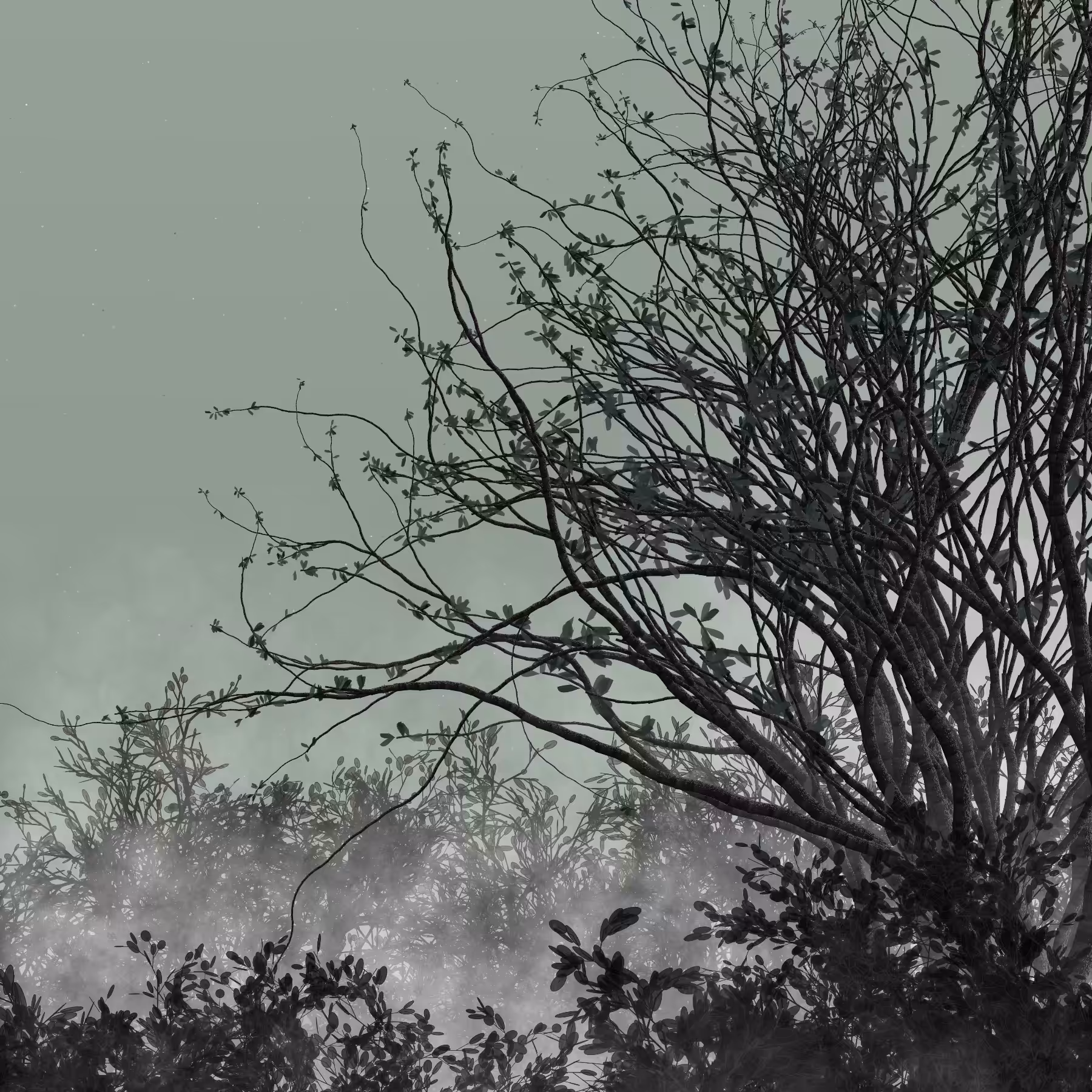 Morning Mist #319