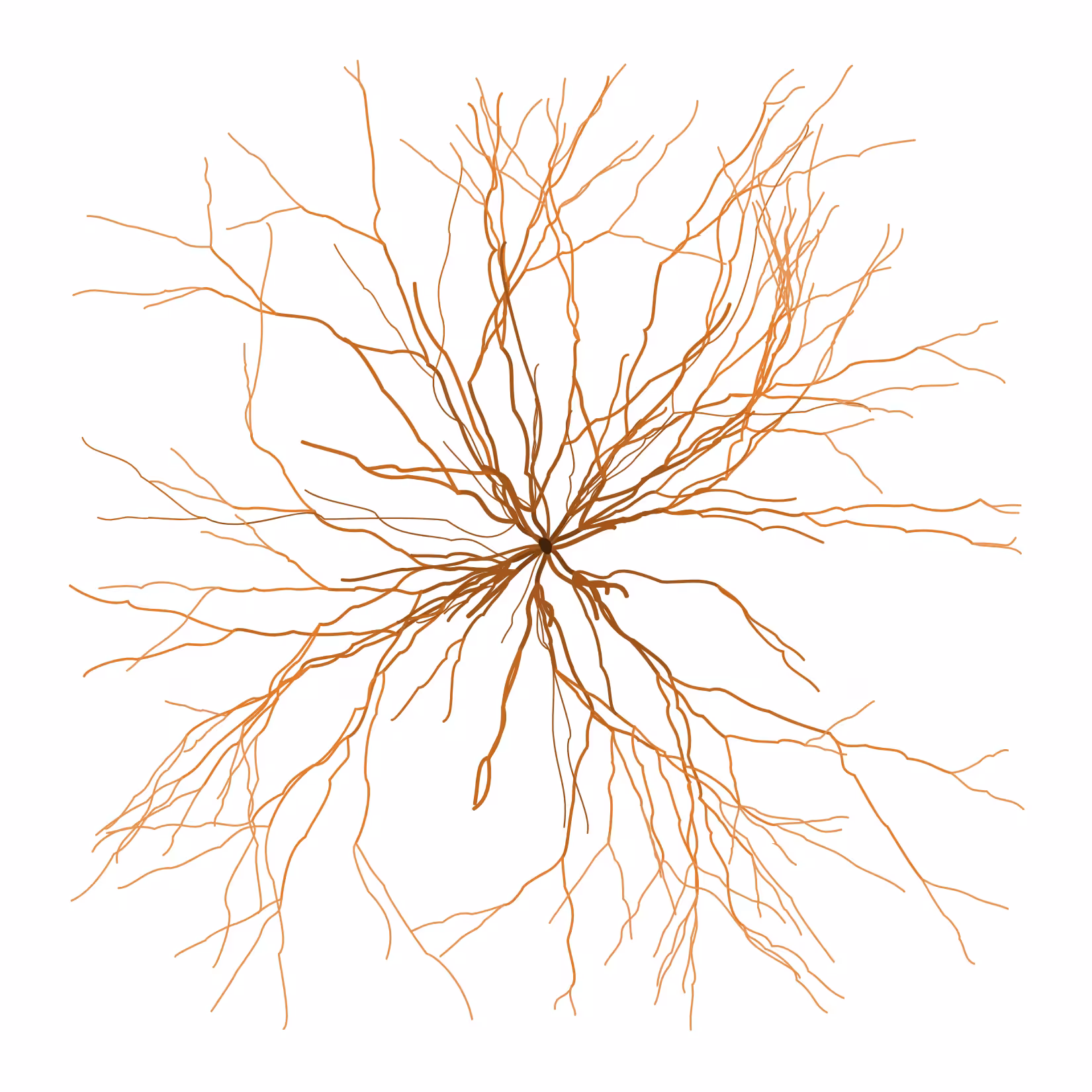 Ghost Forest Seedlings: Ghost Forest Seedling #351