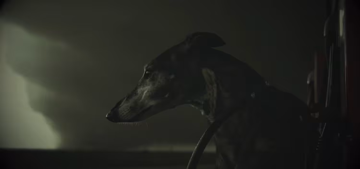 Existence Without Form