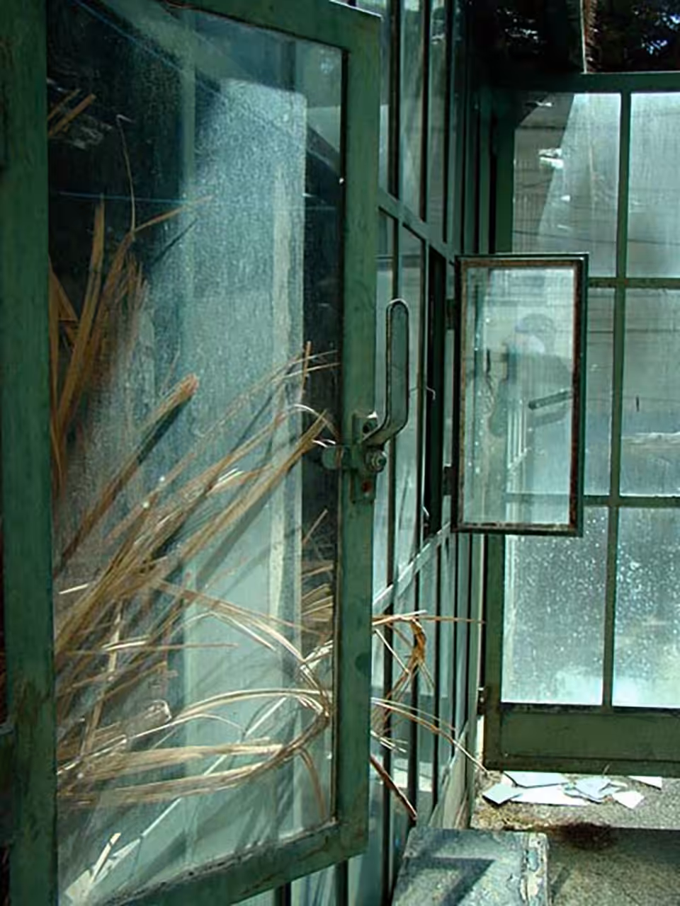 Windows integration