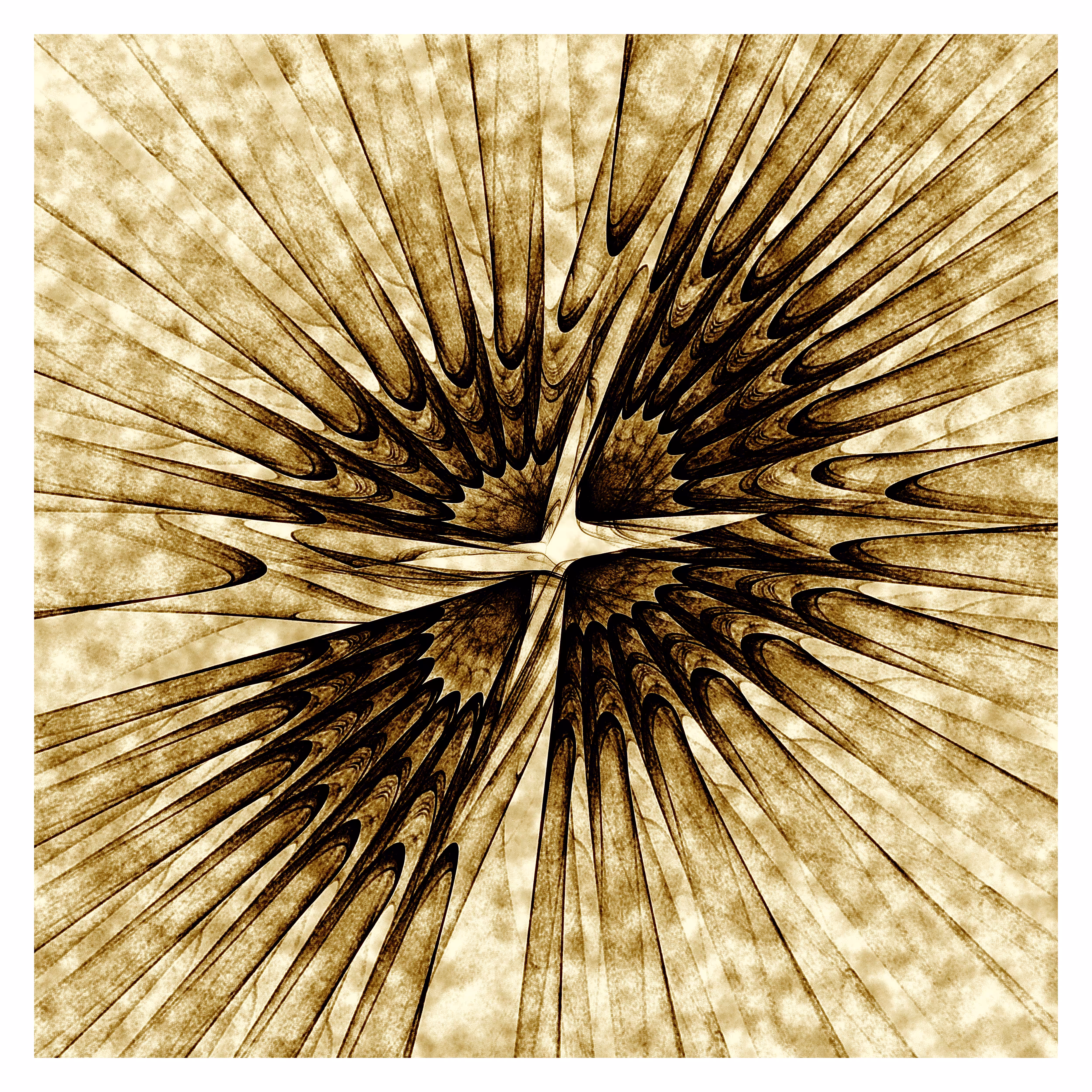 Aesthetic Explorations - Sepia