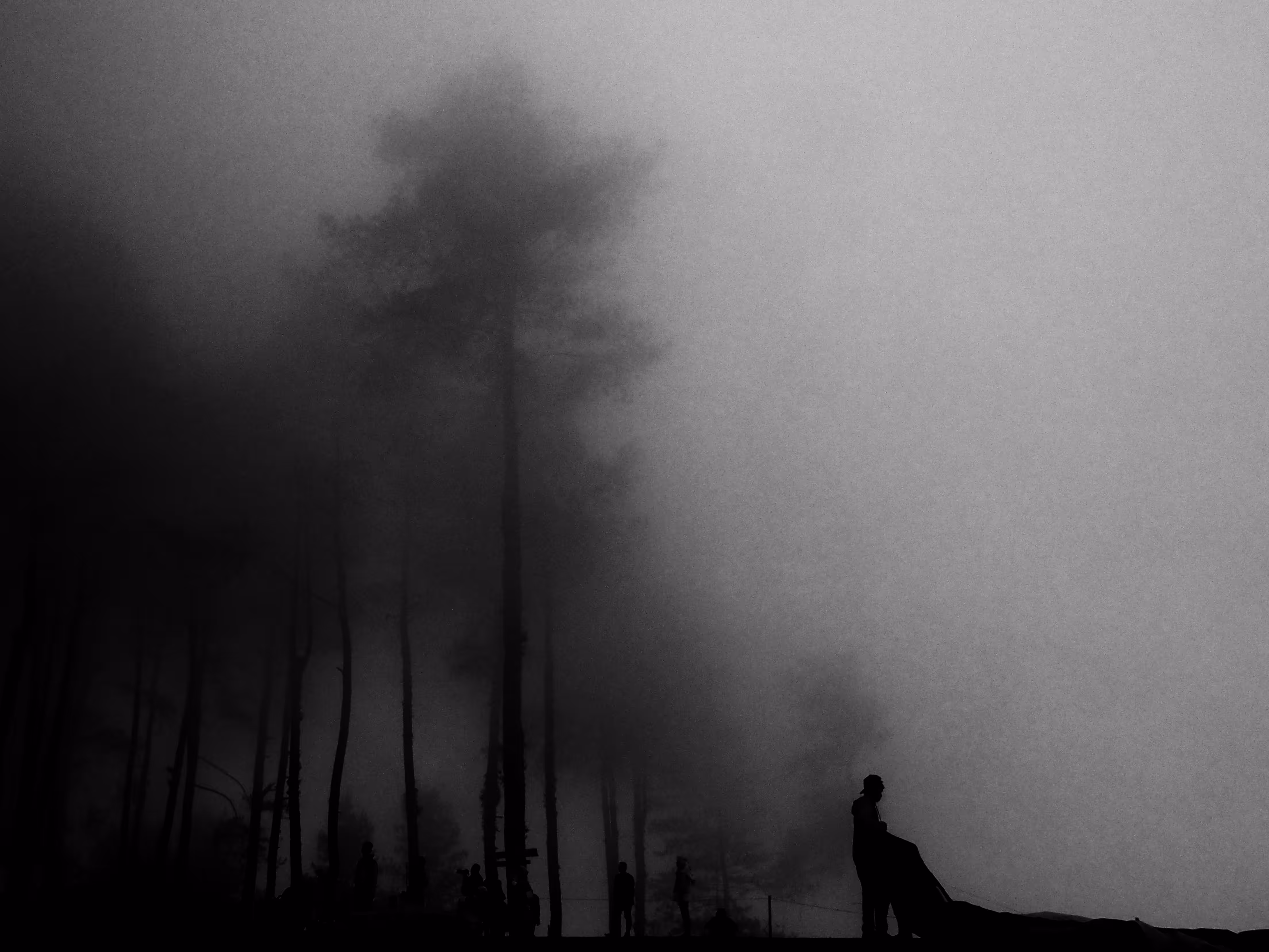 LOST