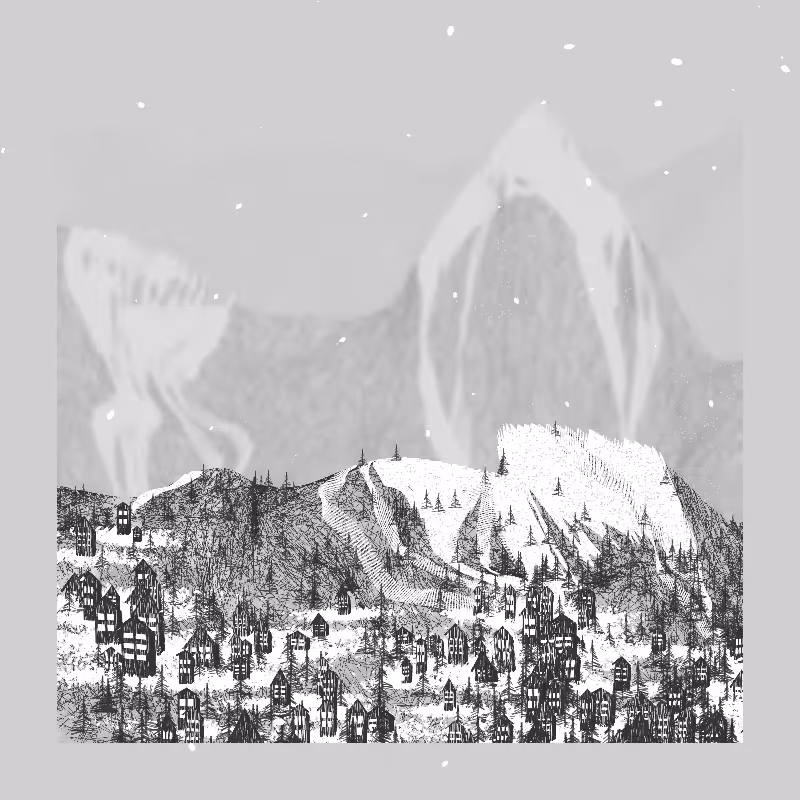 White Mountain Winter #39