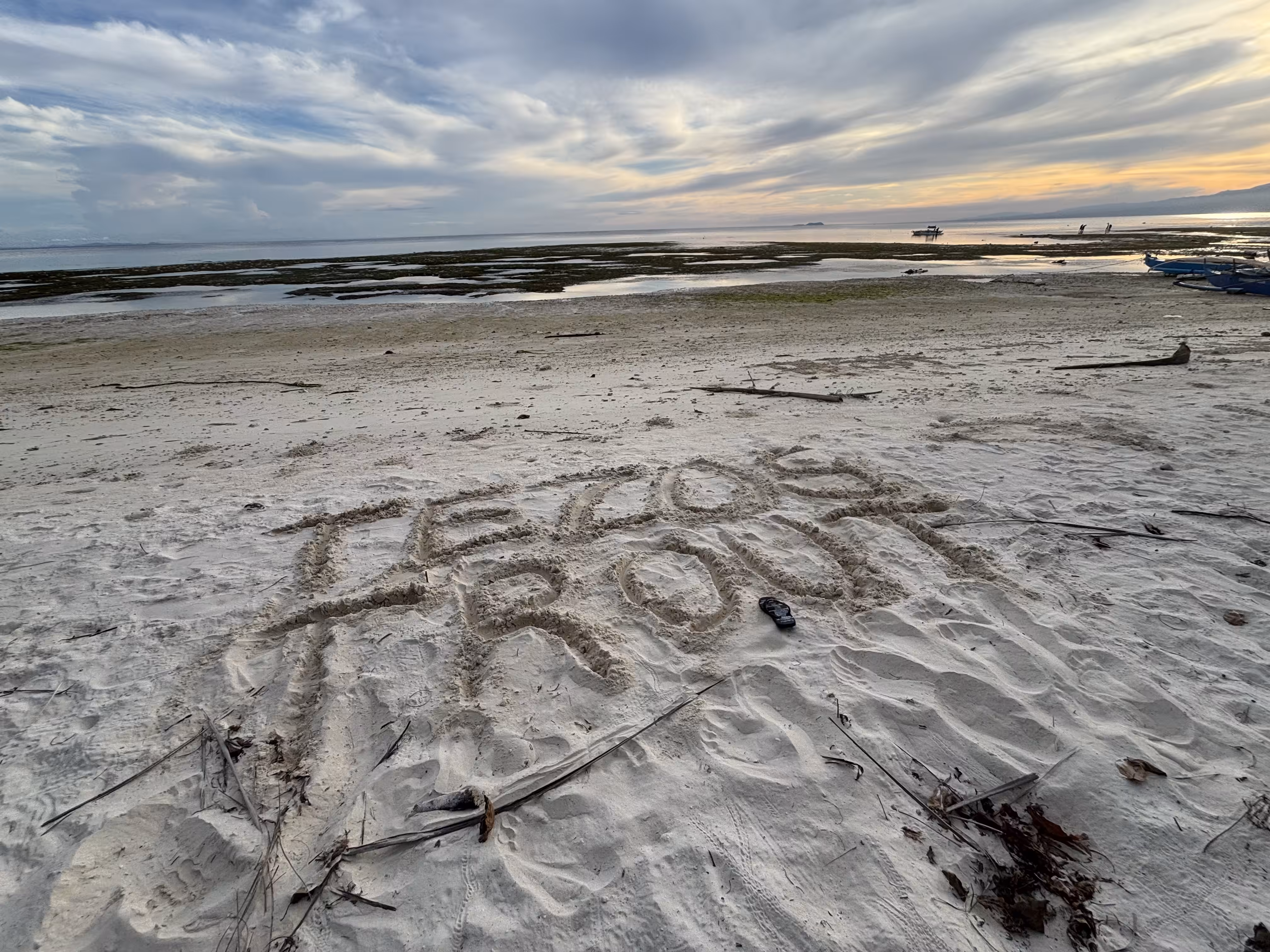 "Tezos Trout"