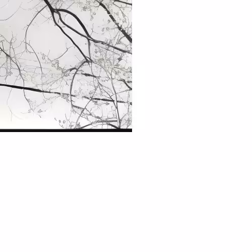 [dis]connections pt 1