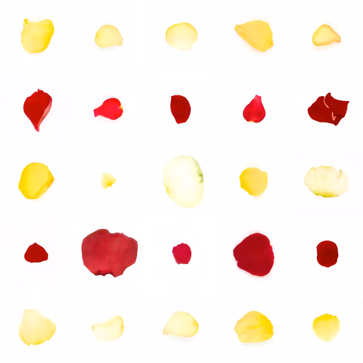 Infinite Petals 5x5#20686
