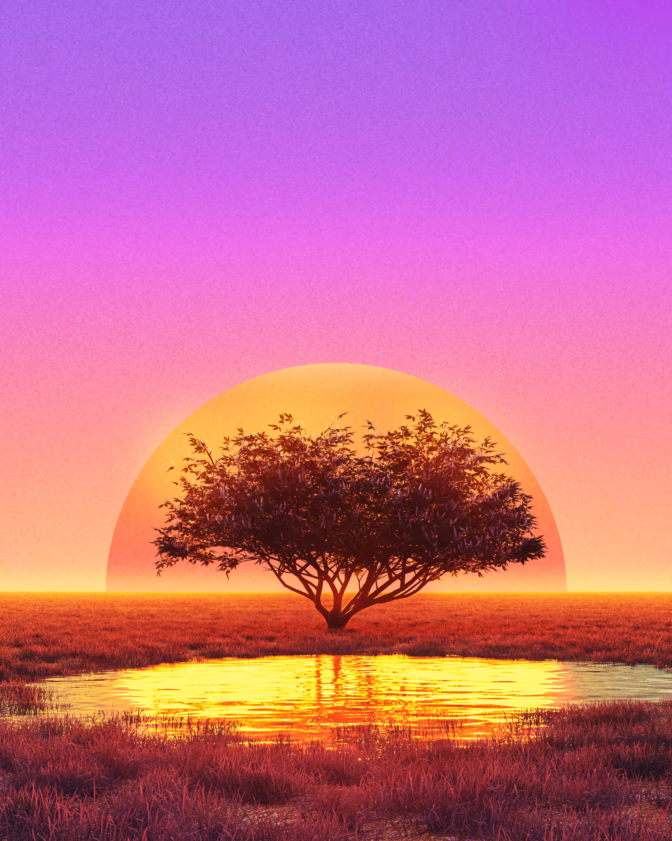 Dream Blossom 💜🌳