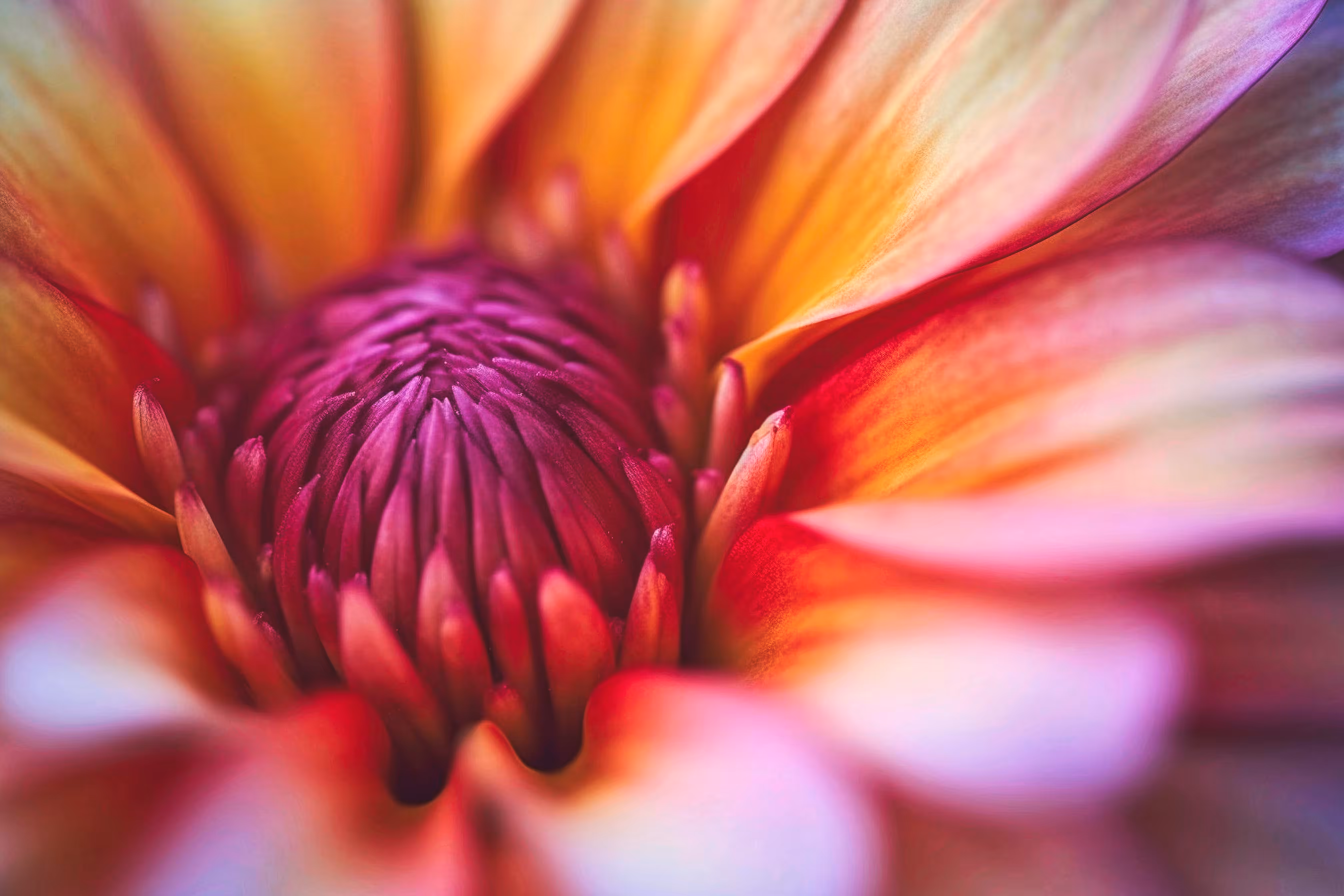 Vibrant Whispers I