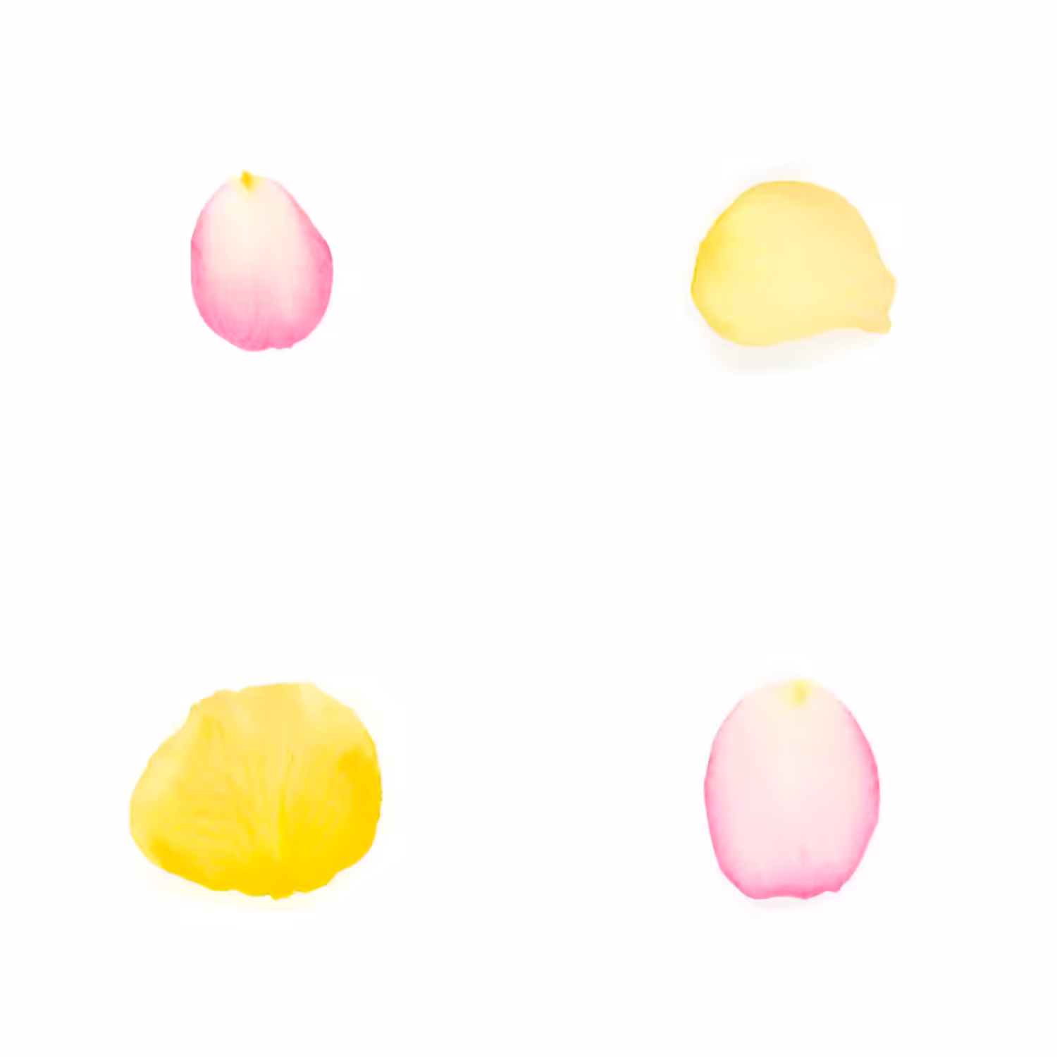 Infinite Petals 2x2#3869
