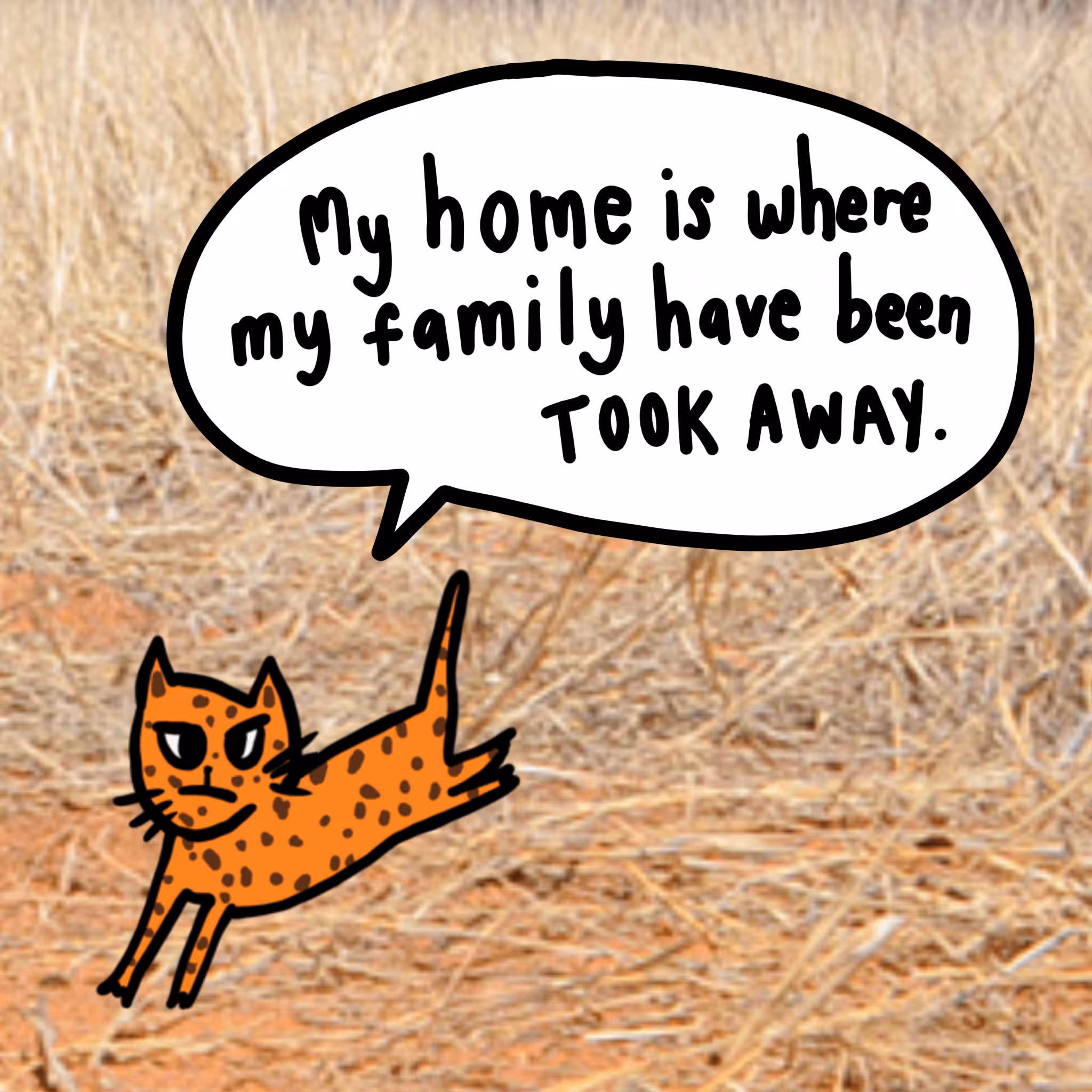ANIMALS JUST WANT TO GO HOME #08 "LEOPARD" My home is where my family have been took away.