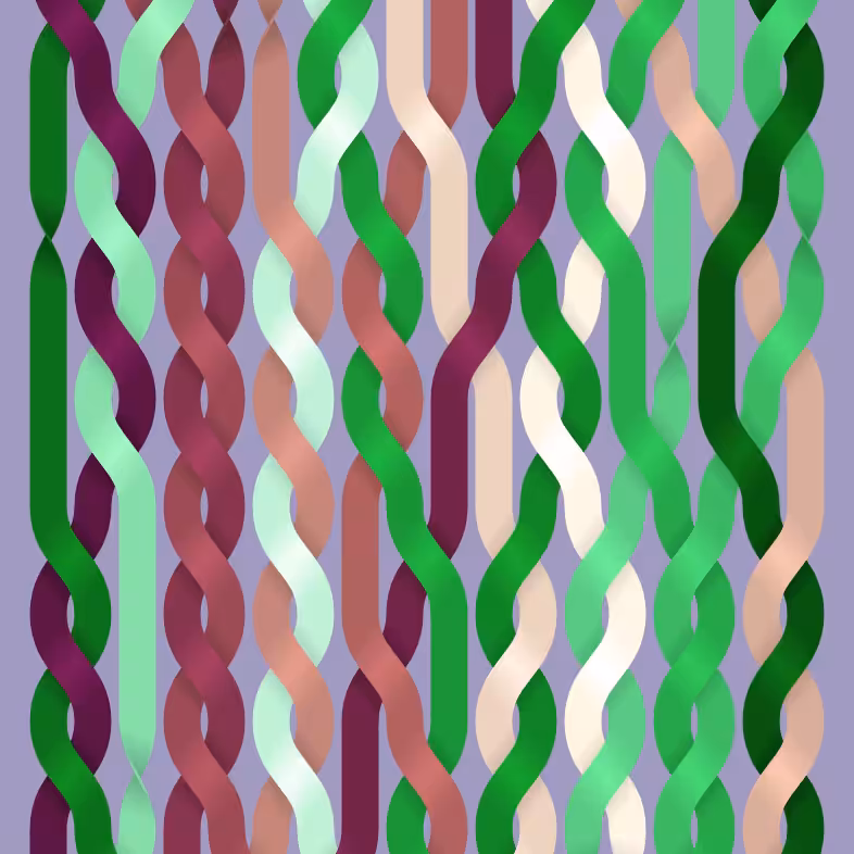 Endless Braids #112