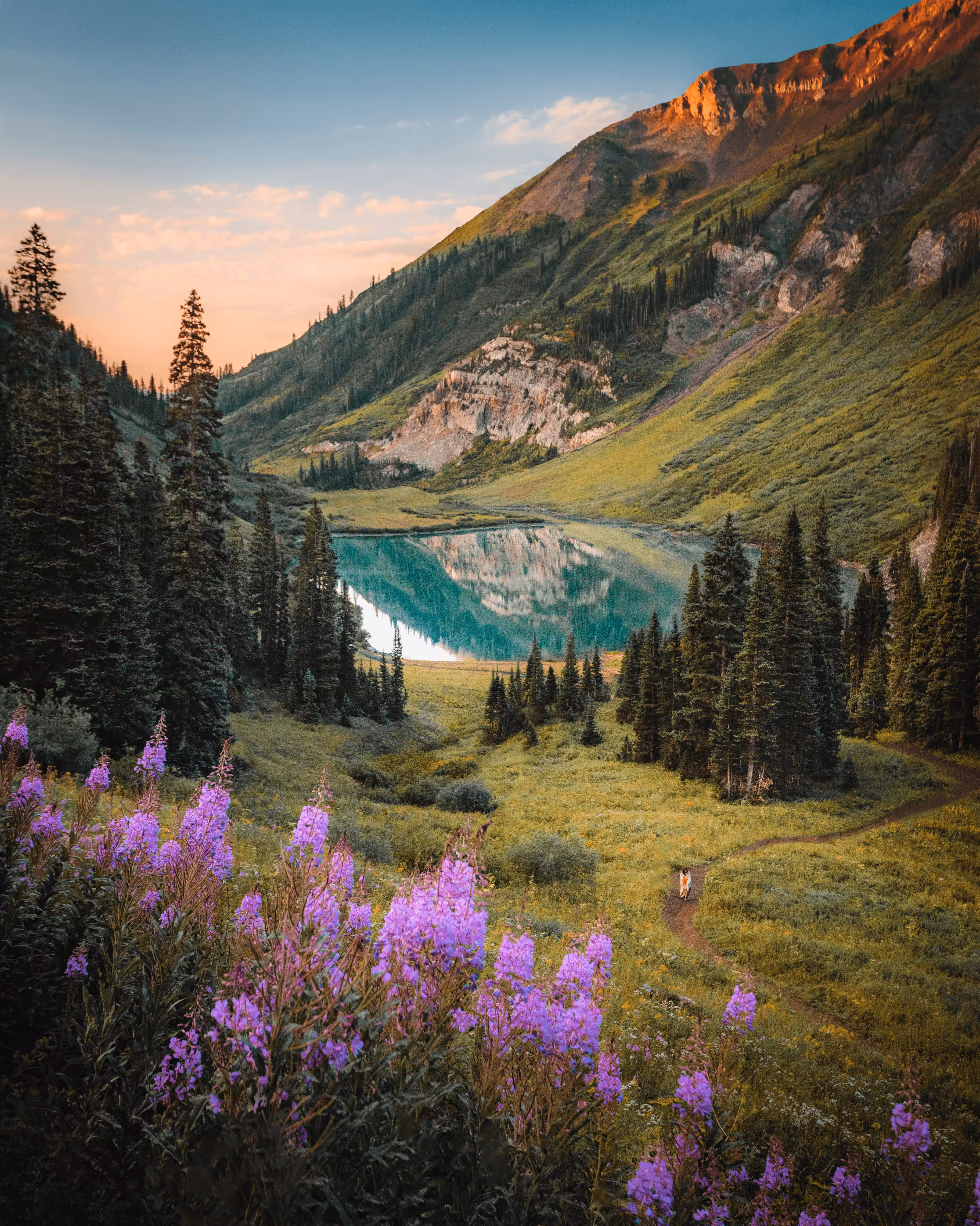 #14: Beautiful Bloom