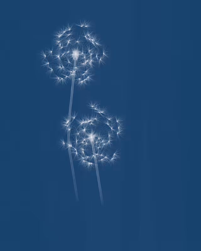 Cyanotypes #223
