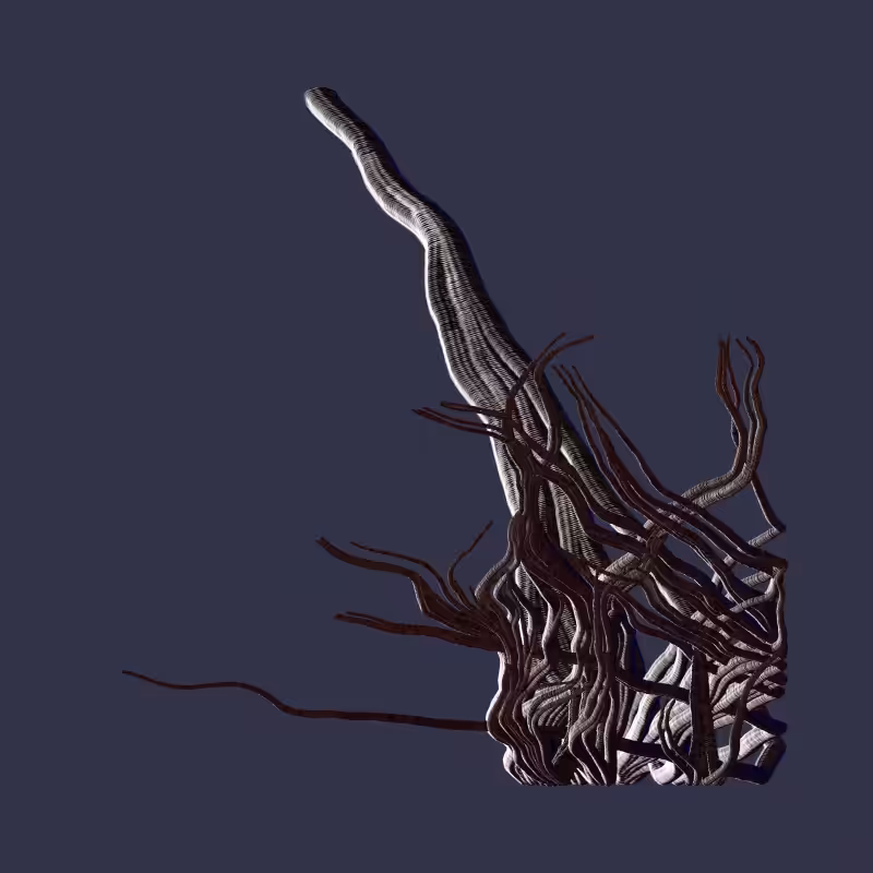 Root #21