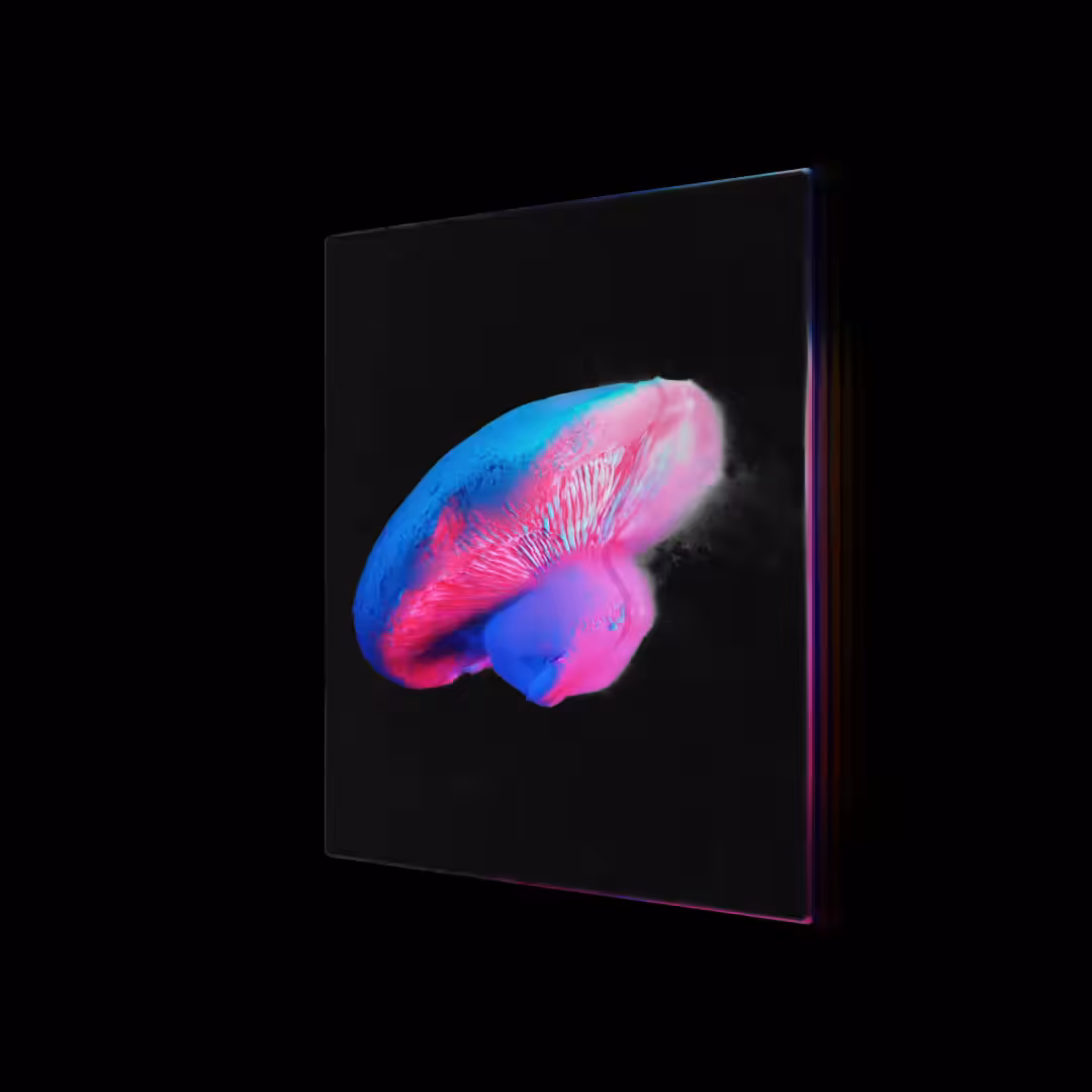 //PlatoBello//