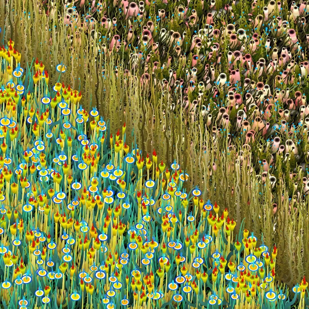 Noisy Gardens #203