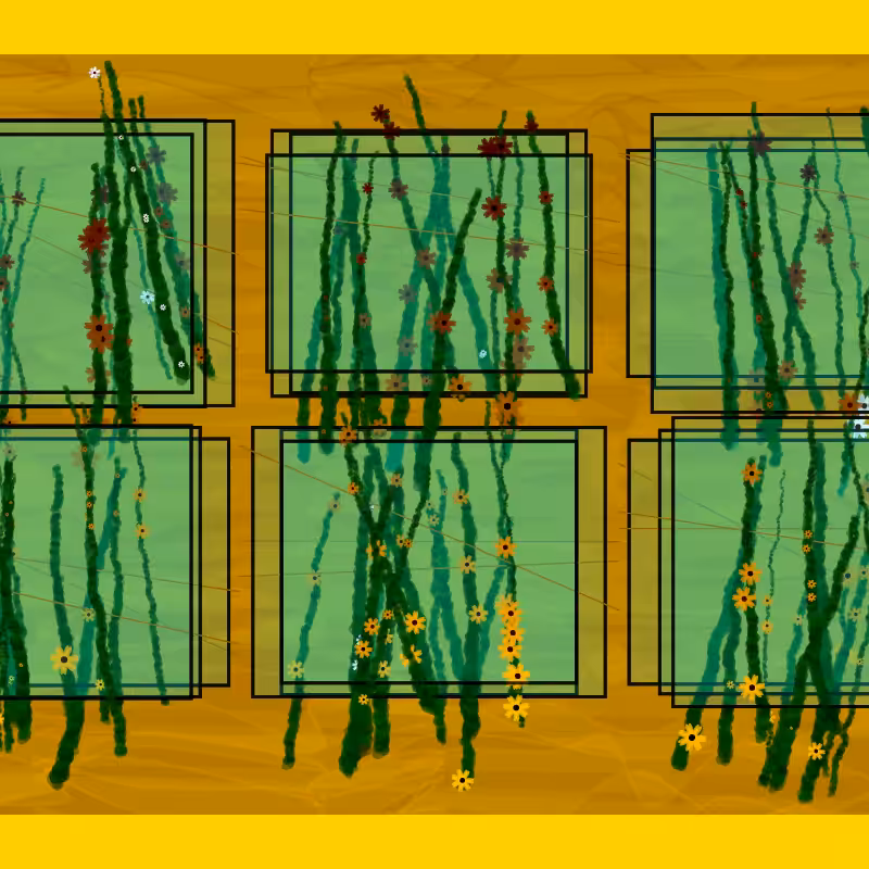 Flower Boxes #4