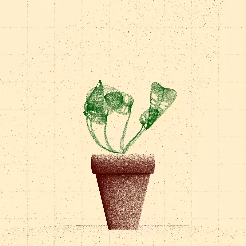 🌱 Potted & Printed #534
