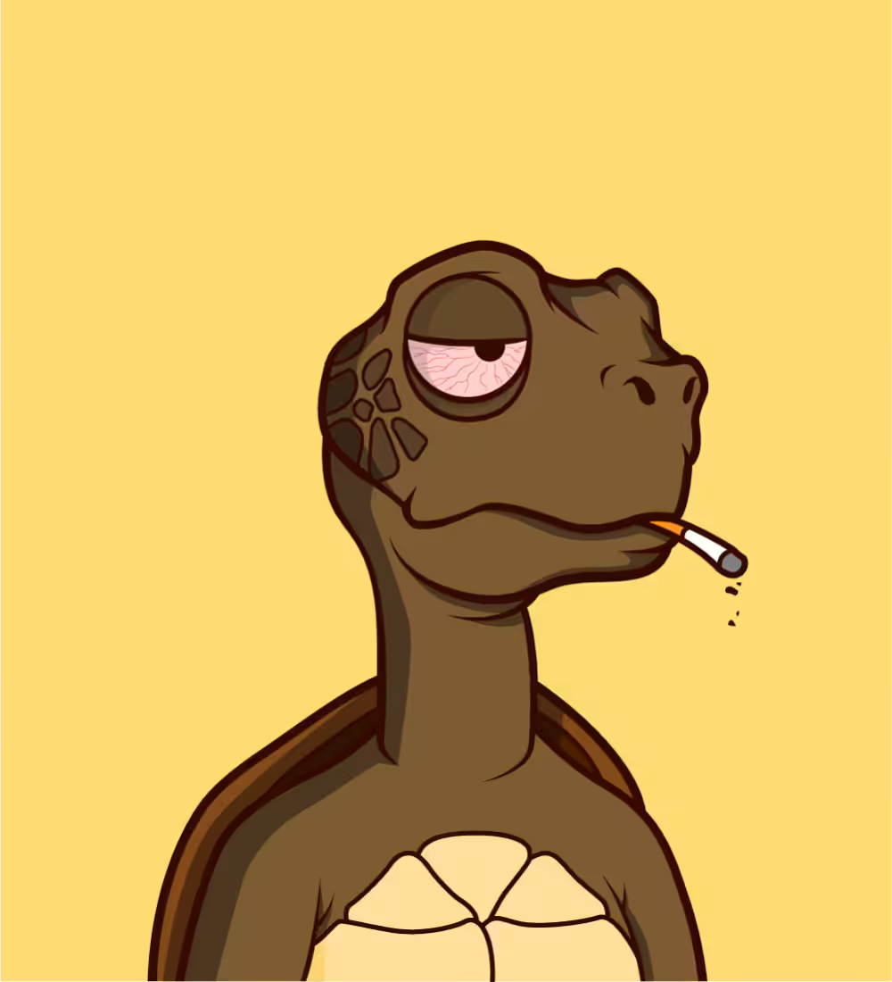 Tiny Turtle 149