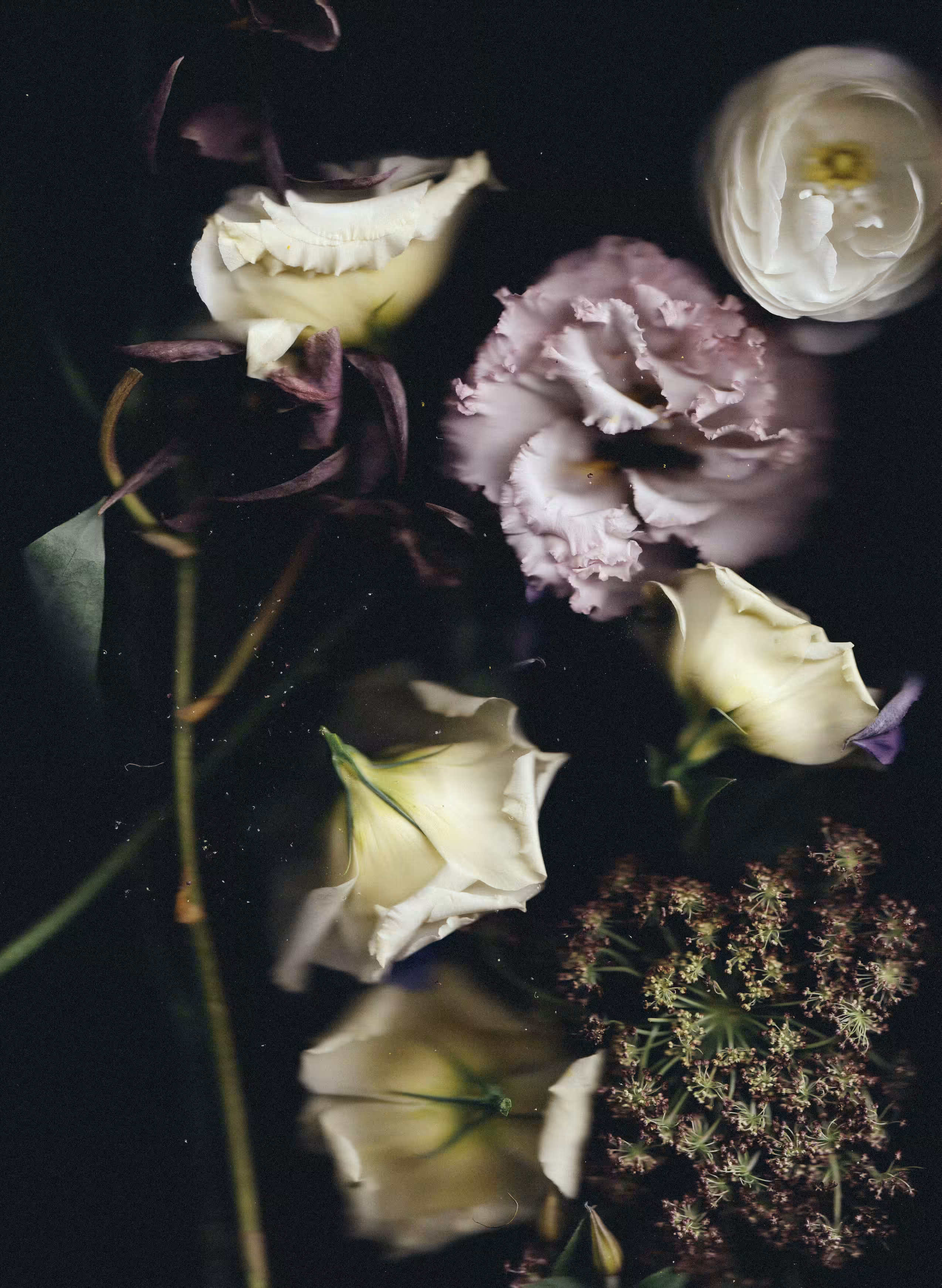 Floral Scans 5