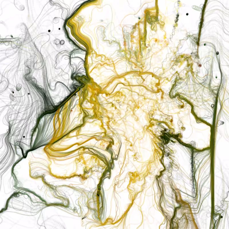 Hypericum #77