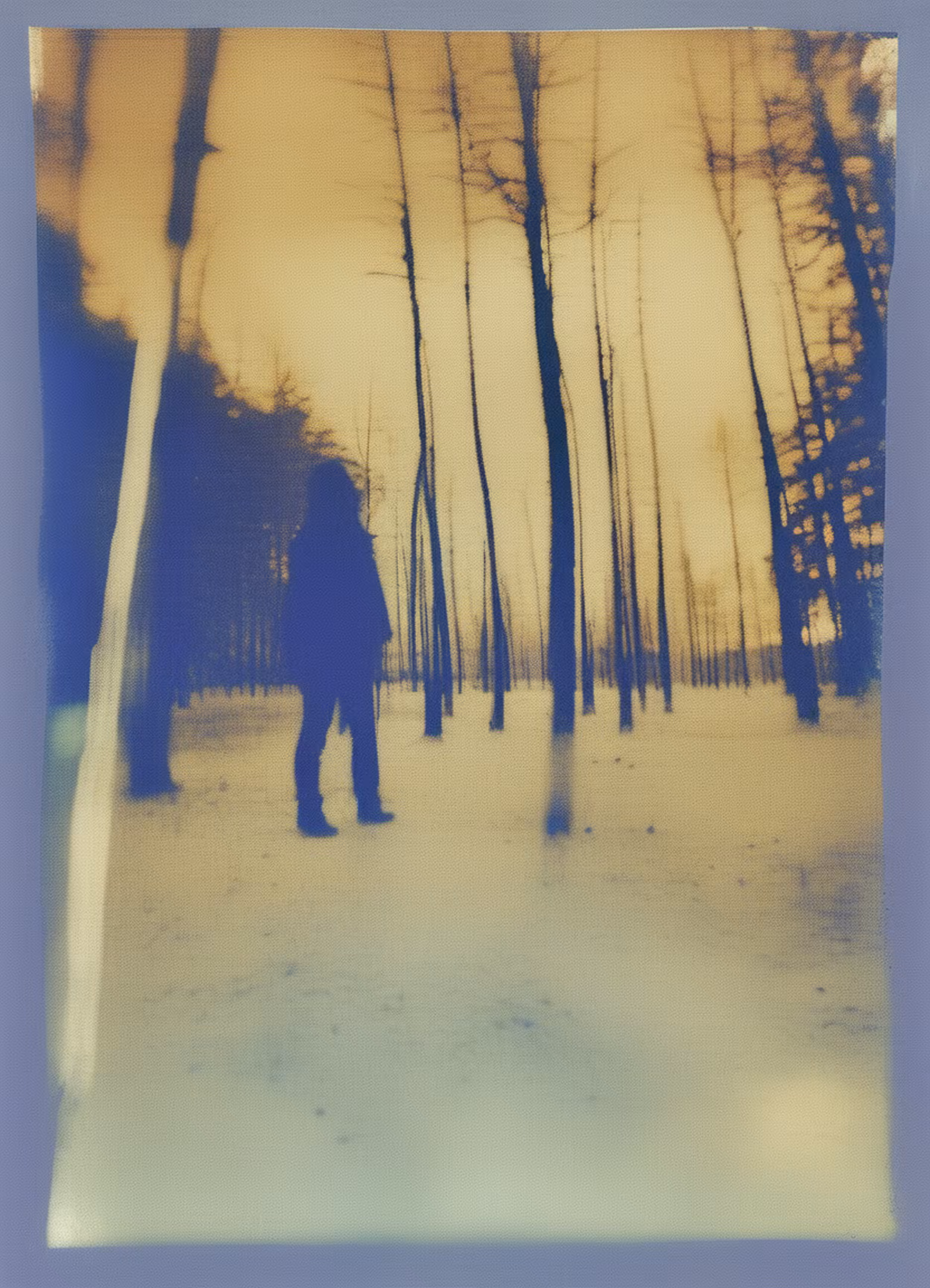 Summer Distortions #17
