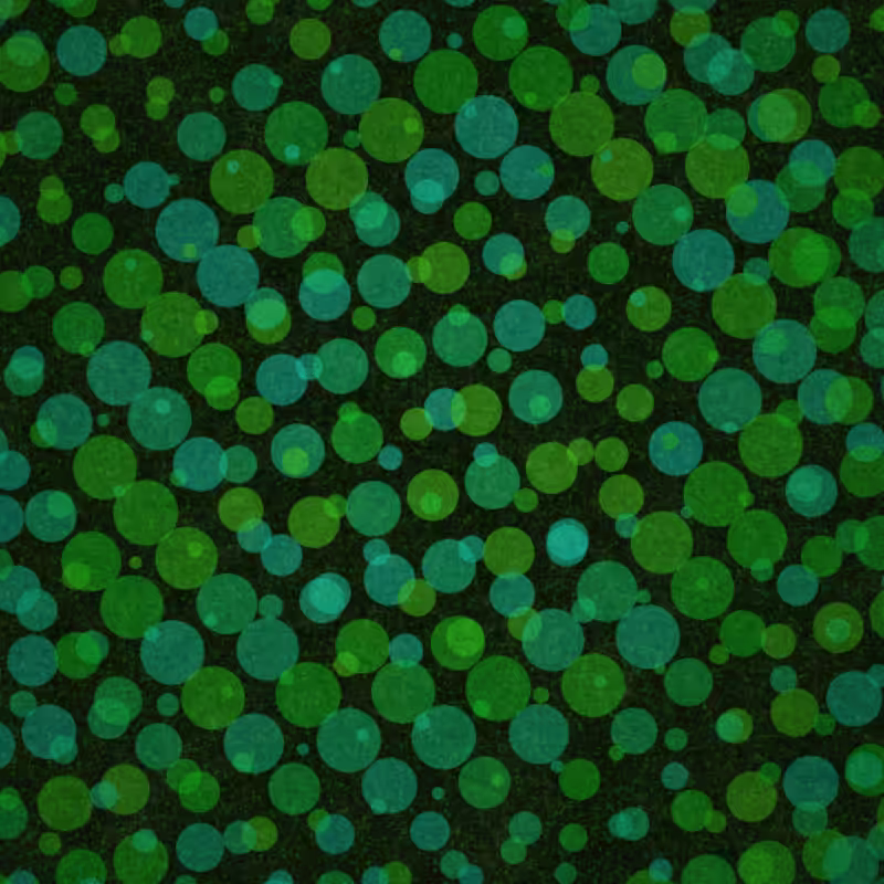 Quantum Foam #12