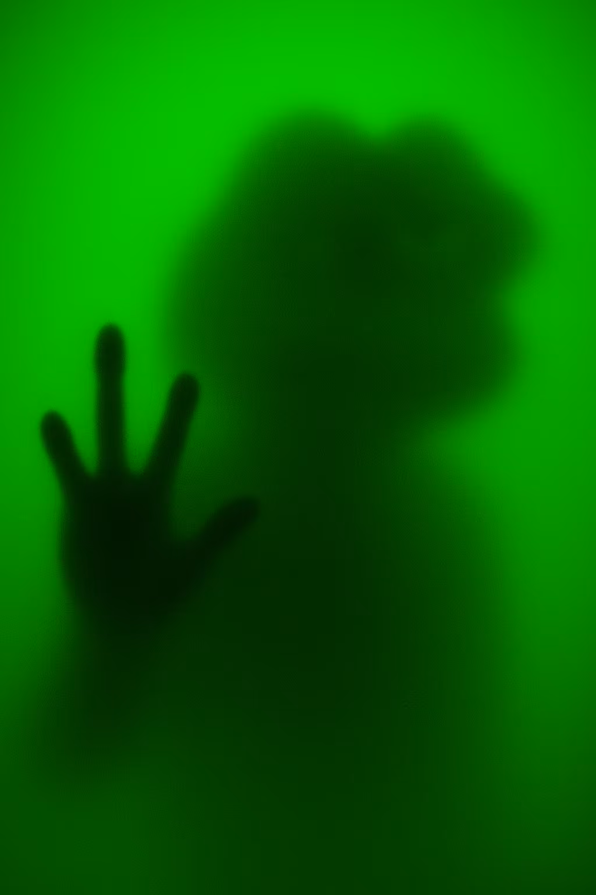 Arrival (The Jade Edition)
