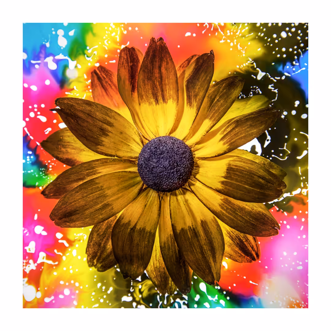Flower #19