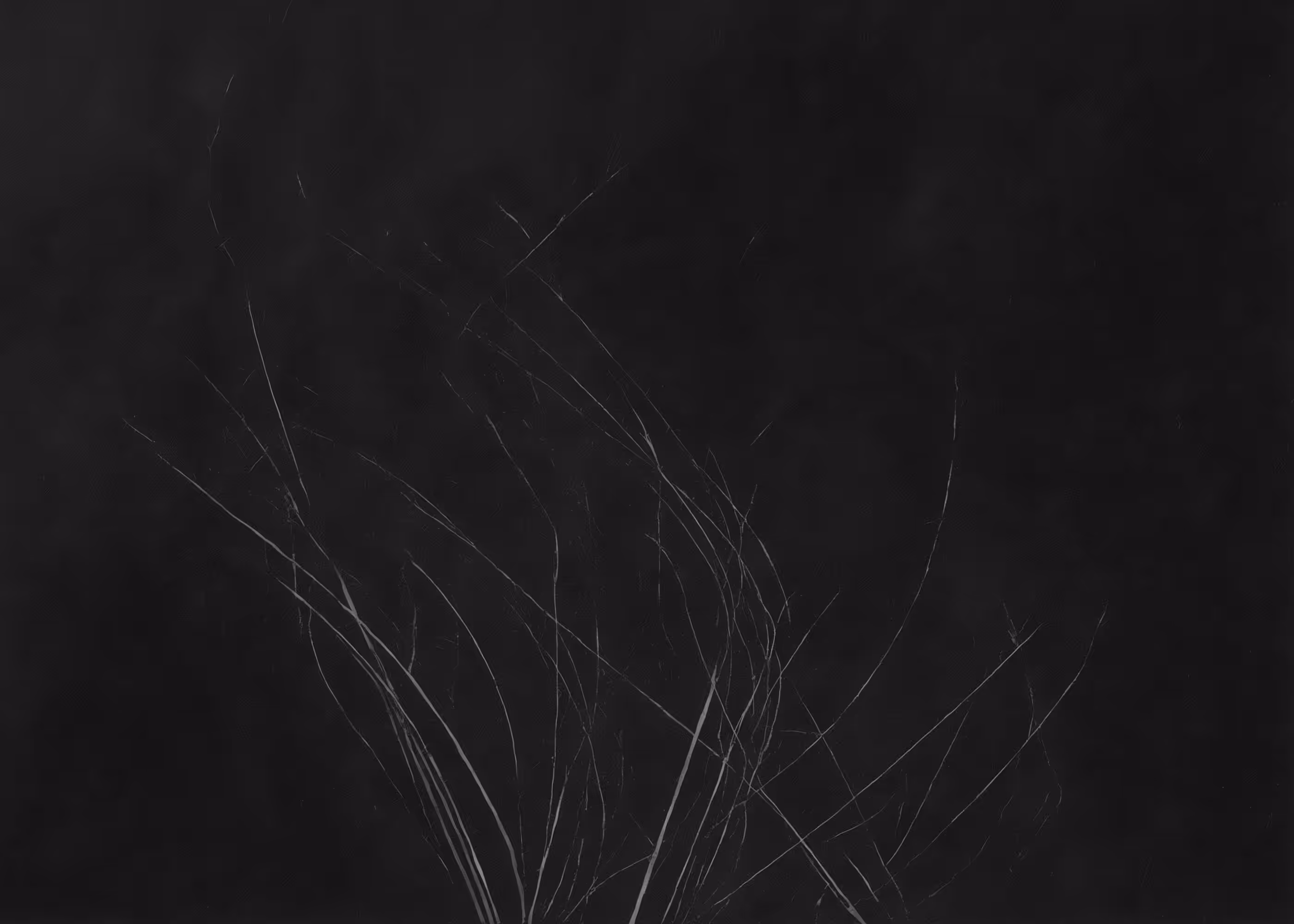 Lumens #714