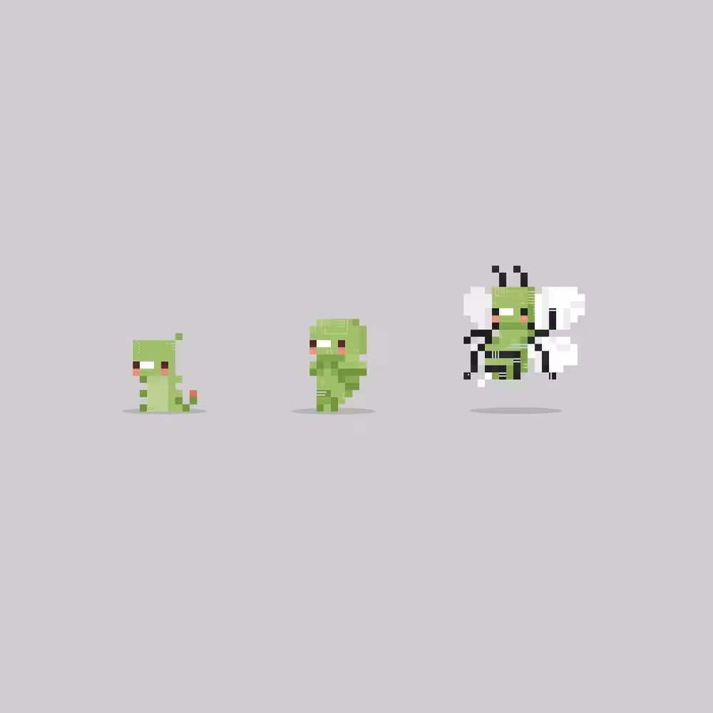 PXLPET 25-27 [EVOLUTIONS EDITION]